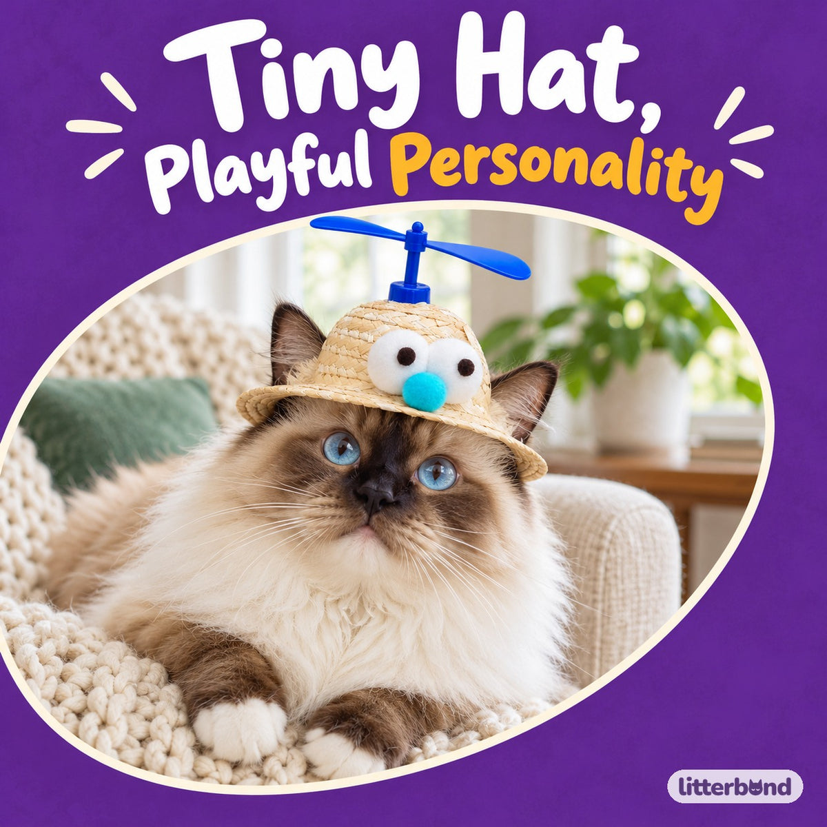 Plush Propeller Straw Hat for Photos on a cat