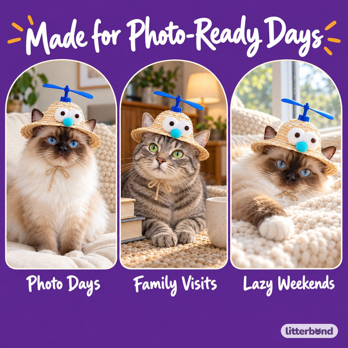 Plush Propeller Straw Hat for Photos on a cat at home