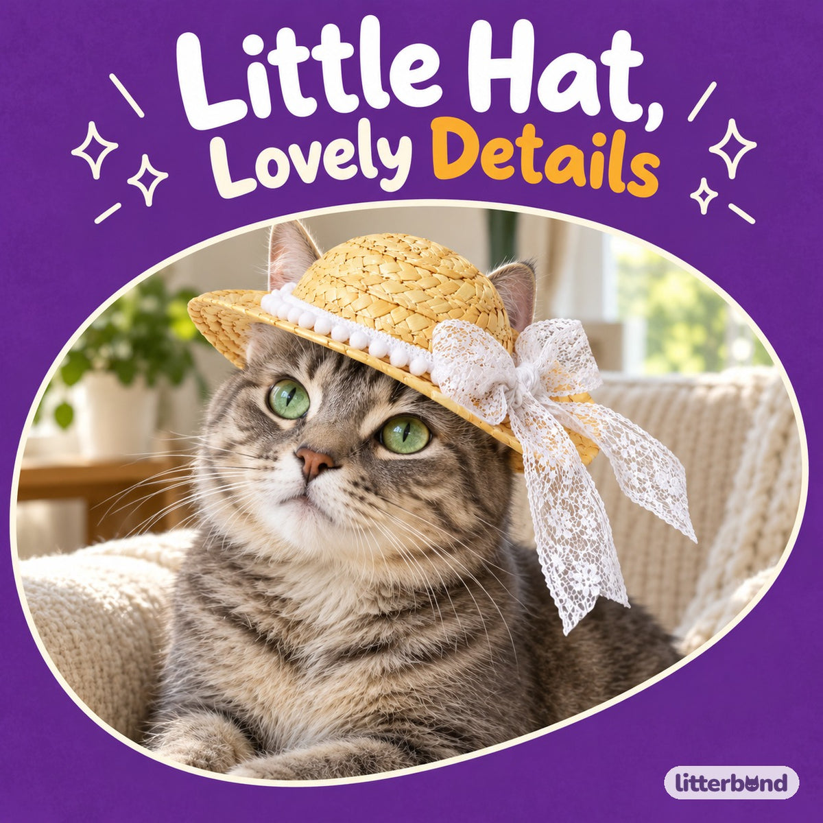 Lace & Rose Photo Hat on a cat
