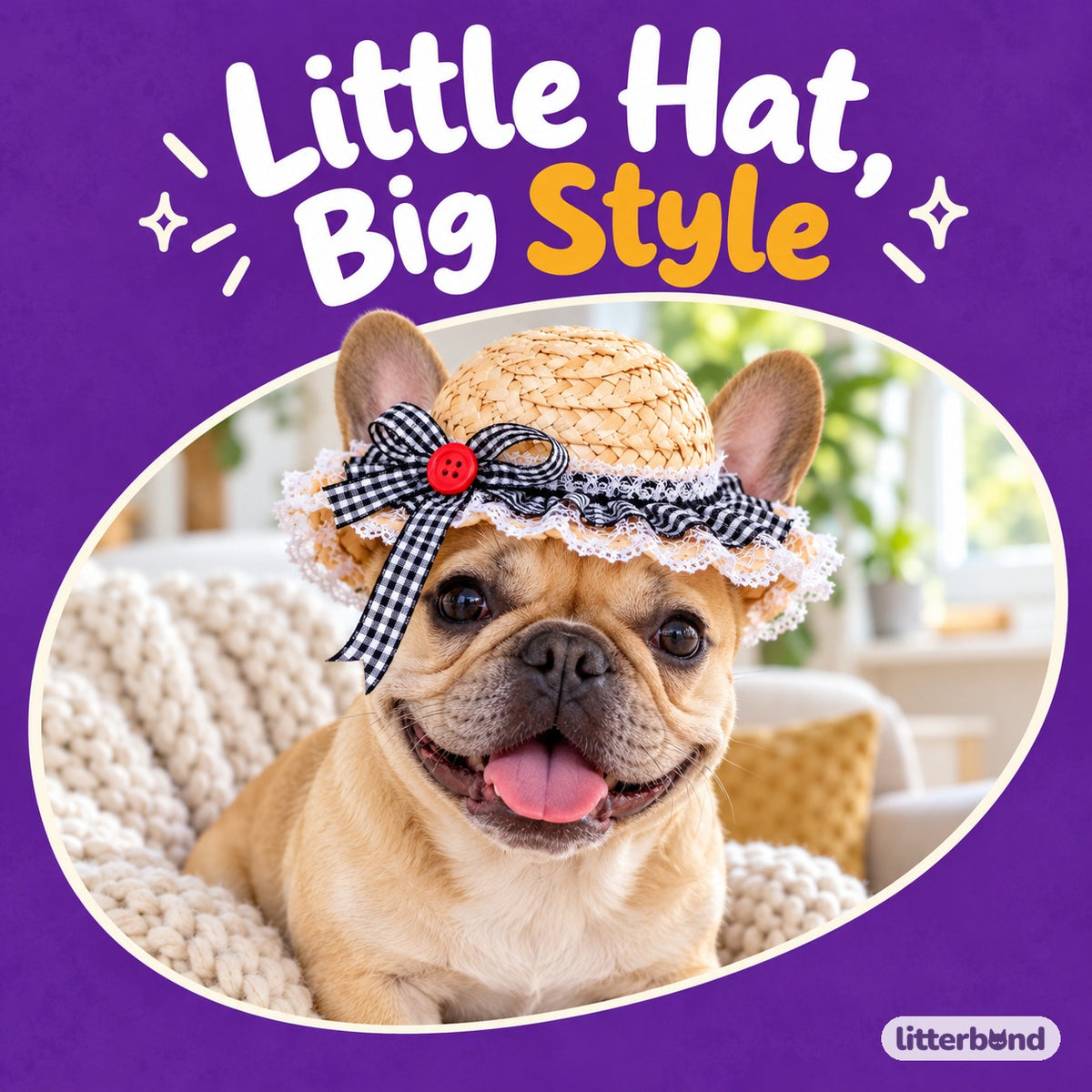 Gingham Lace Straw Hat for Photos on a cat