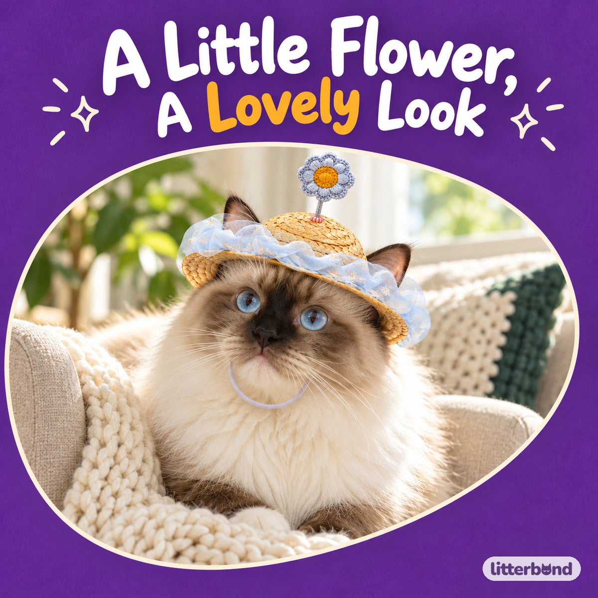 Organza Flower Hat for Photos on a cat