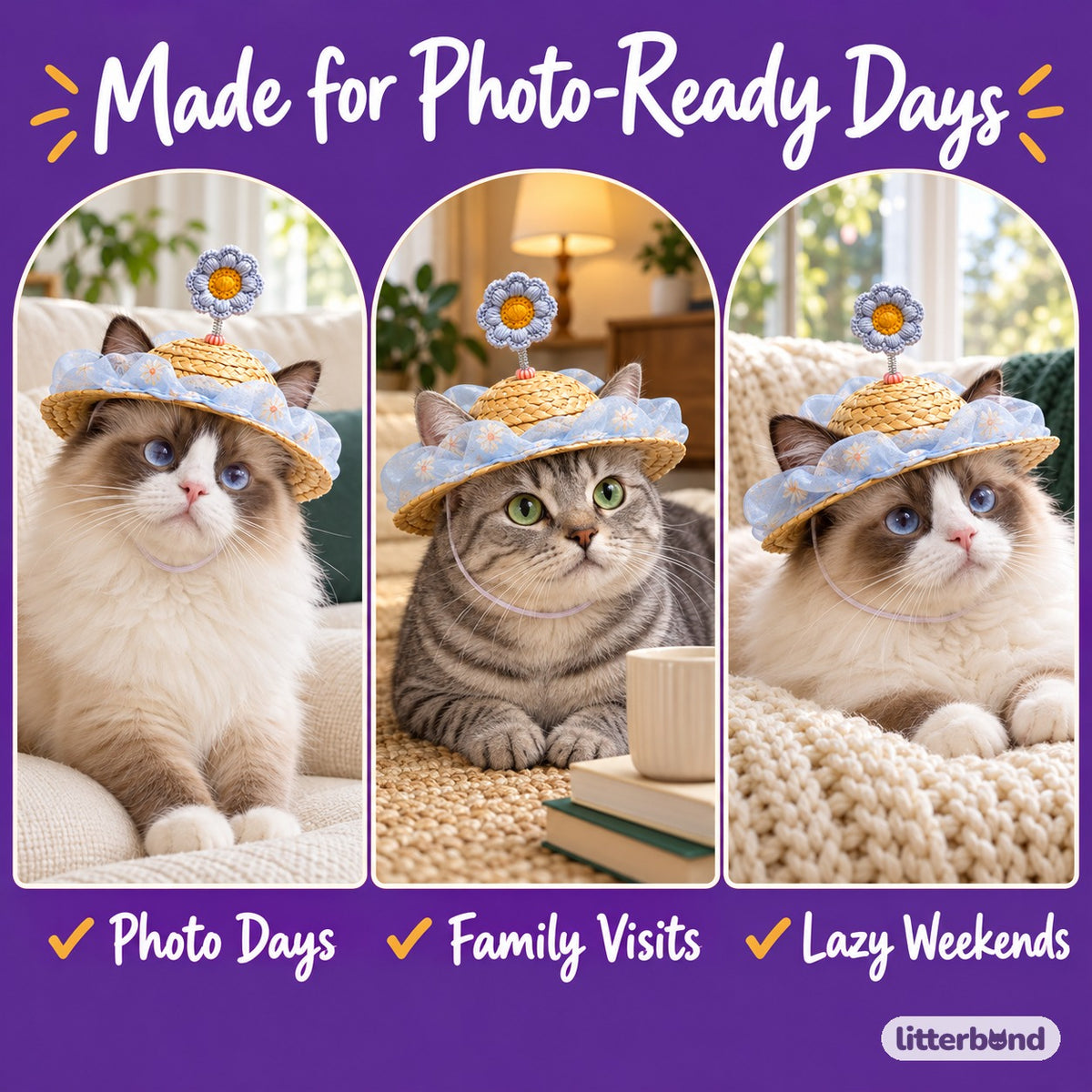 Organza Flower Hat for Photos on a cat at home