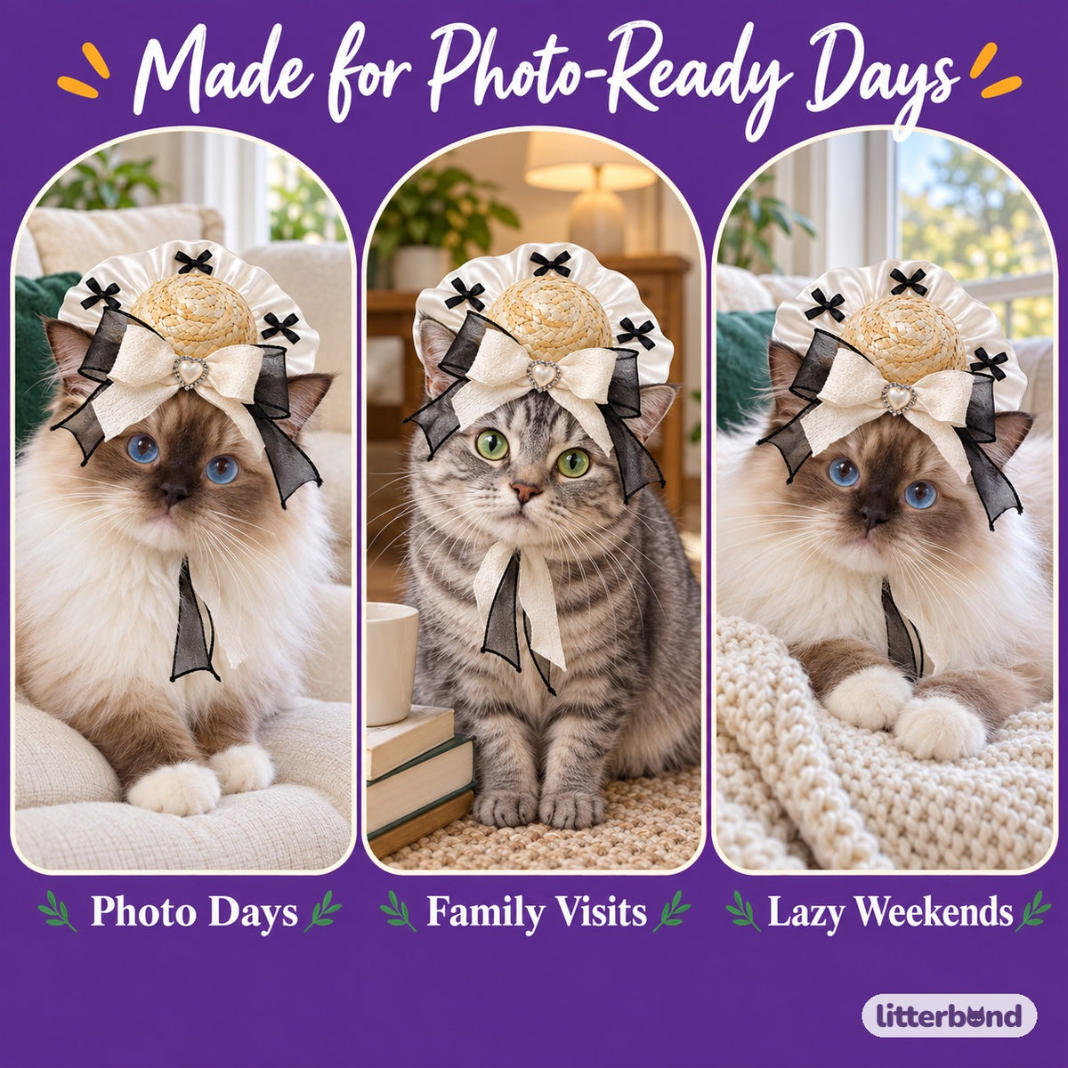 Heart Bow Straw Hat for Photos on a cat at home