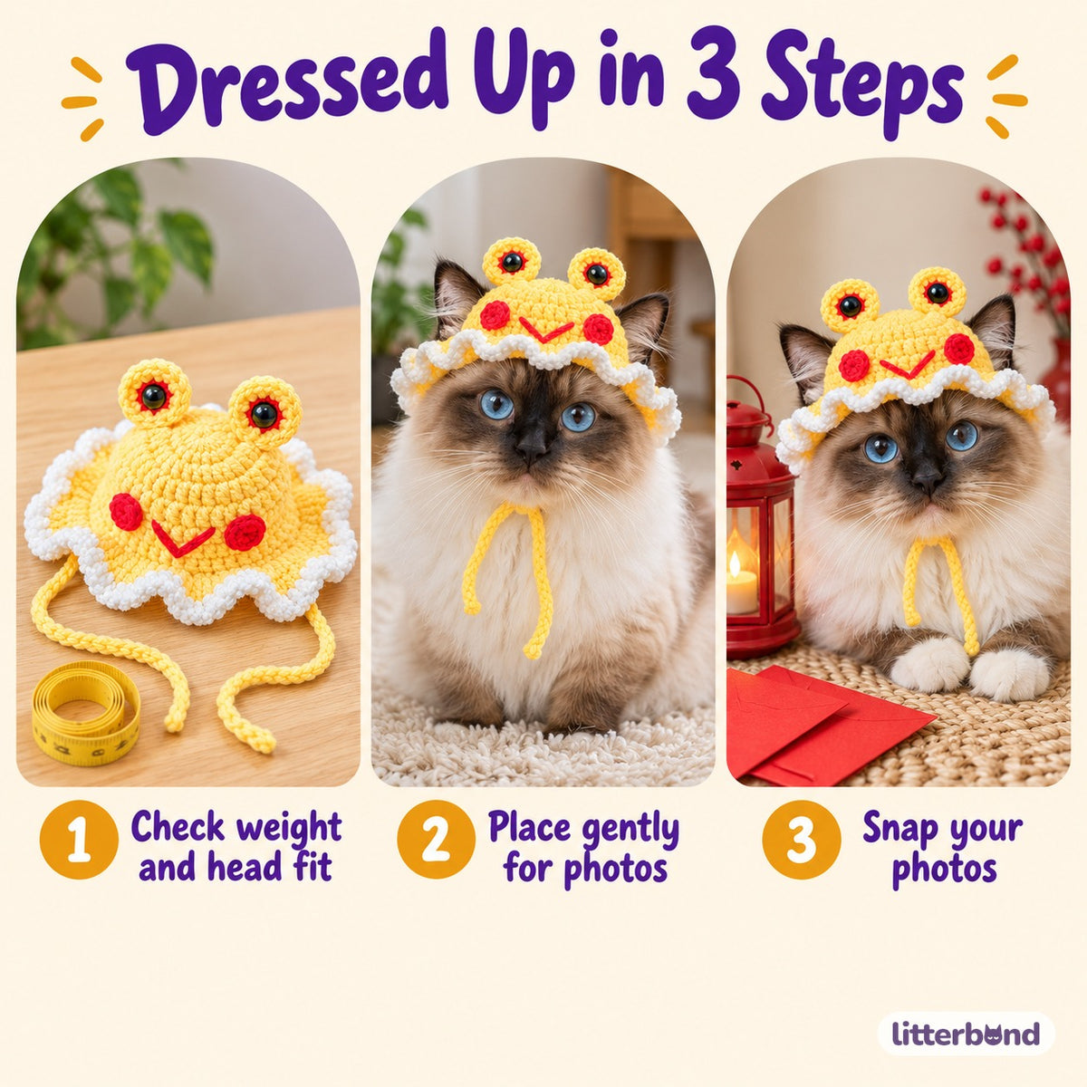 Tiger & Friends Photo Hats - how to put it on