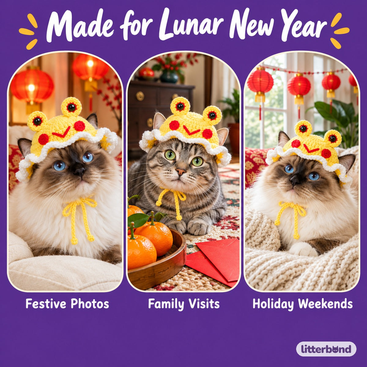 Tiger & Friends Photo Hats on a cat at home