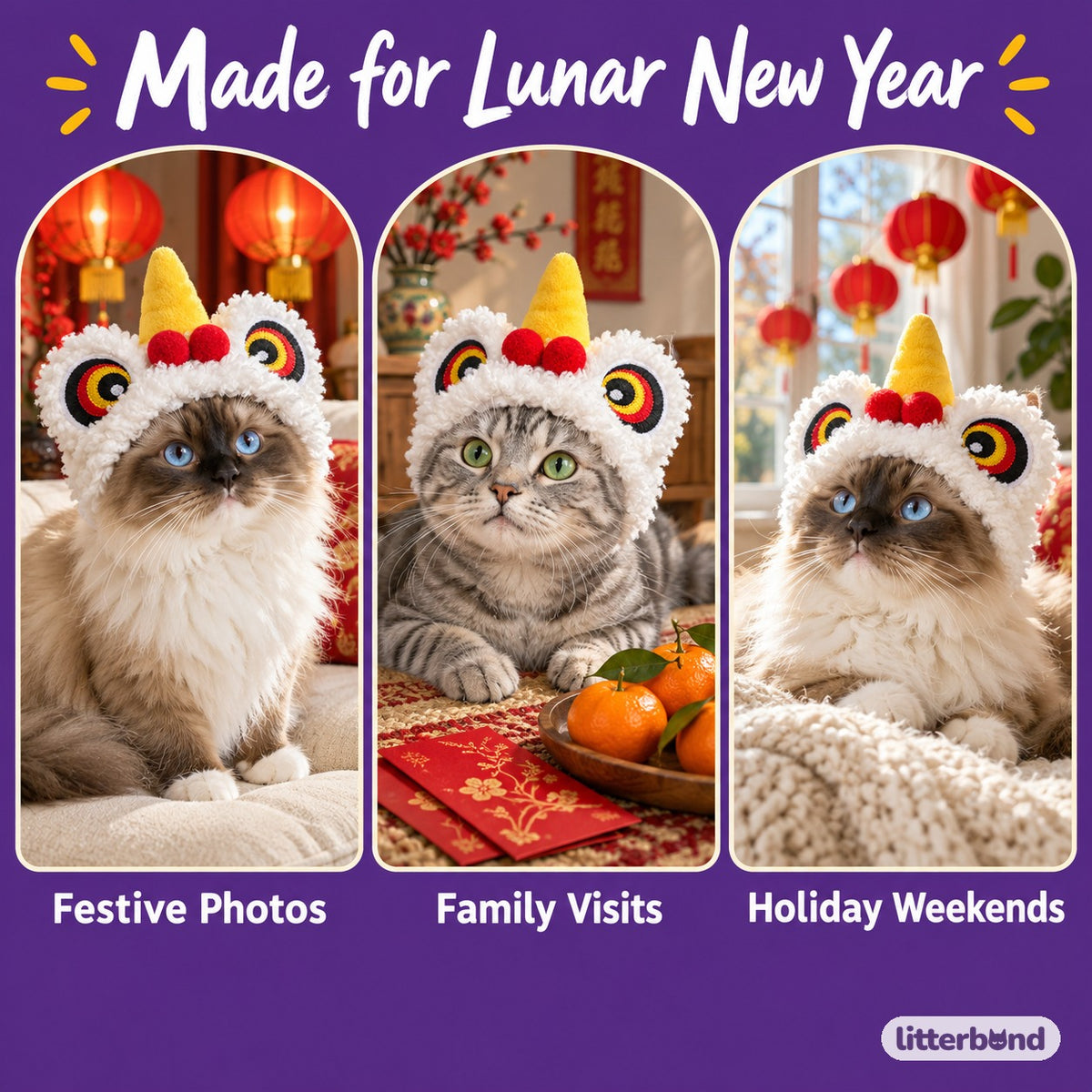 White Lion Dance Hat for Photos on a cat at home