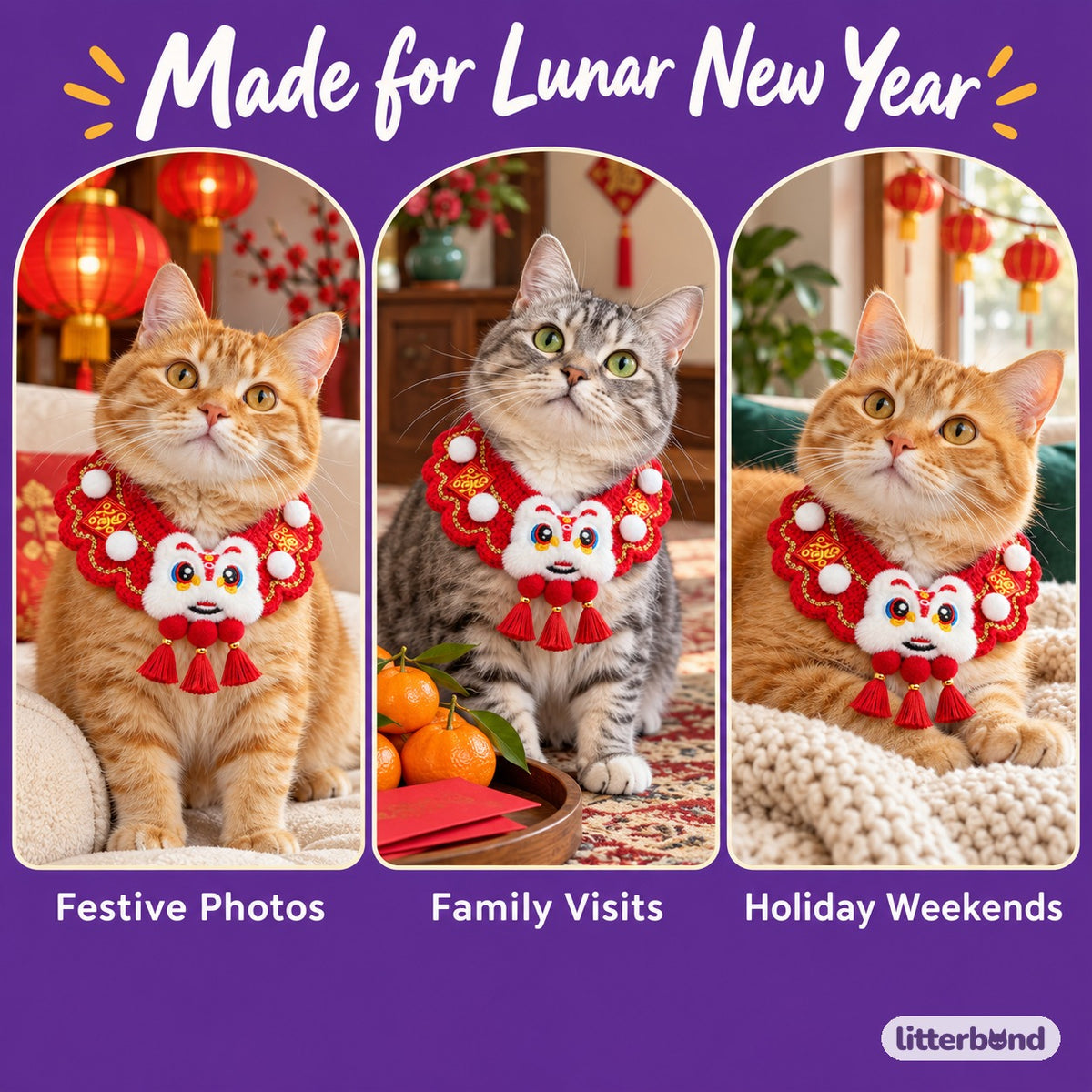 Crochet Charm Collar for Holiday Photos on a cat at home