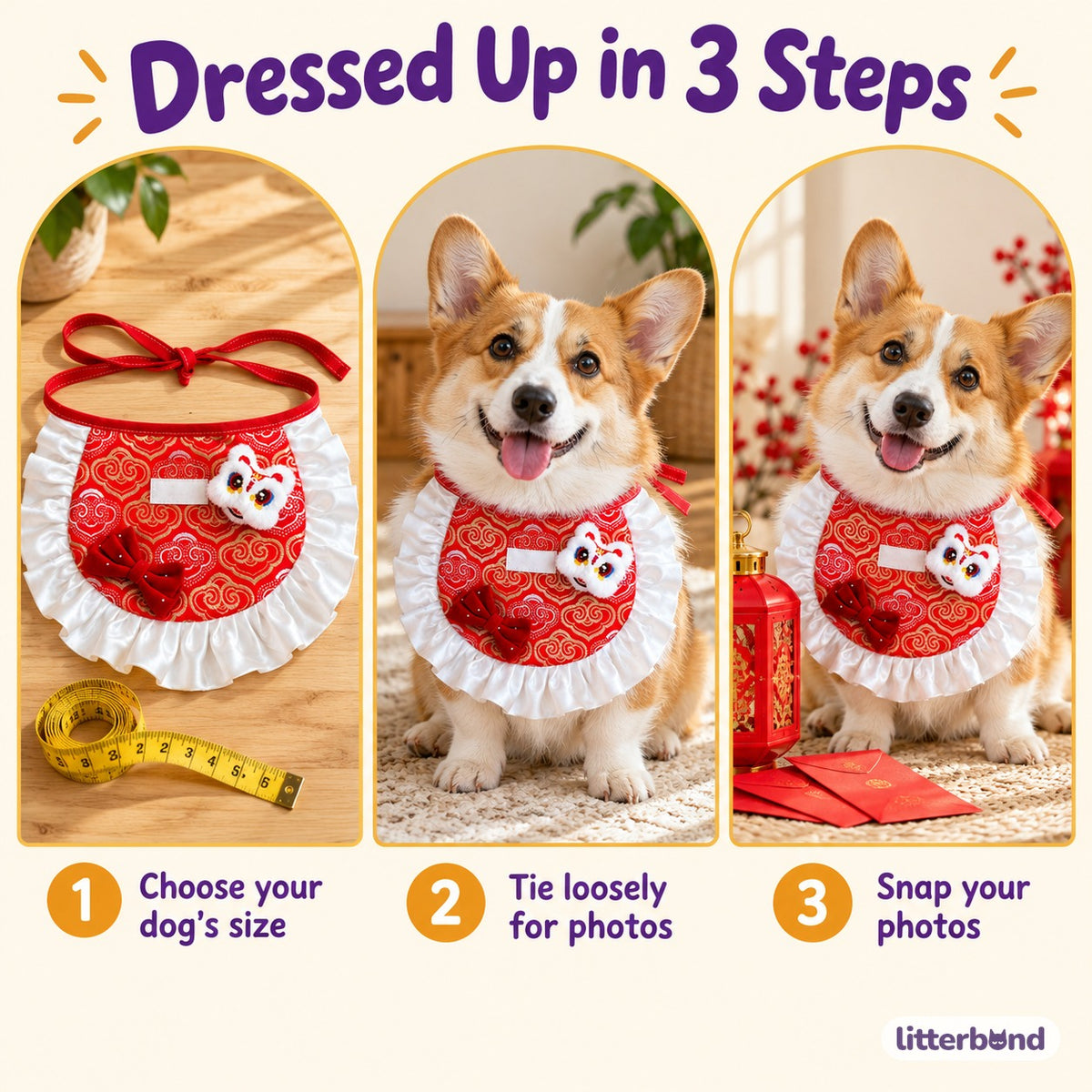 Lion Dance Ruffle Bib for Photos - how to put it on