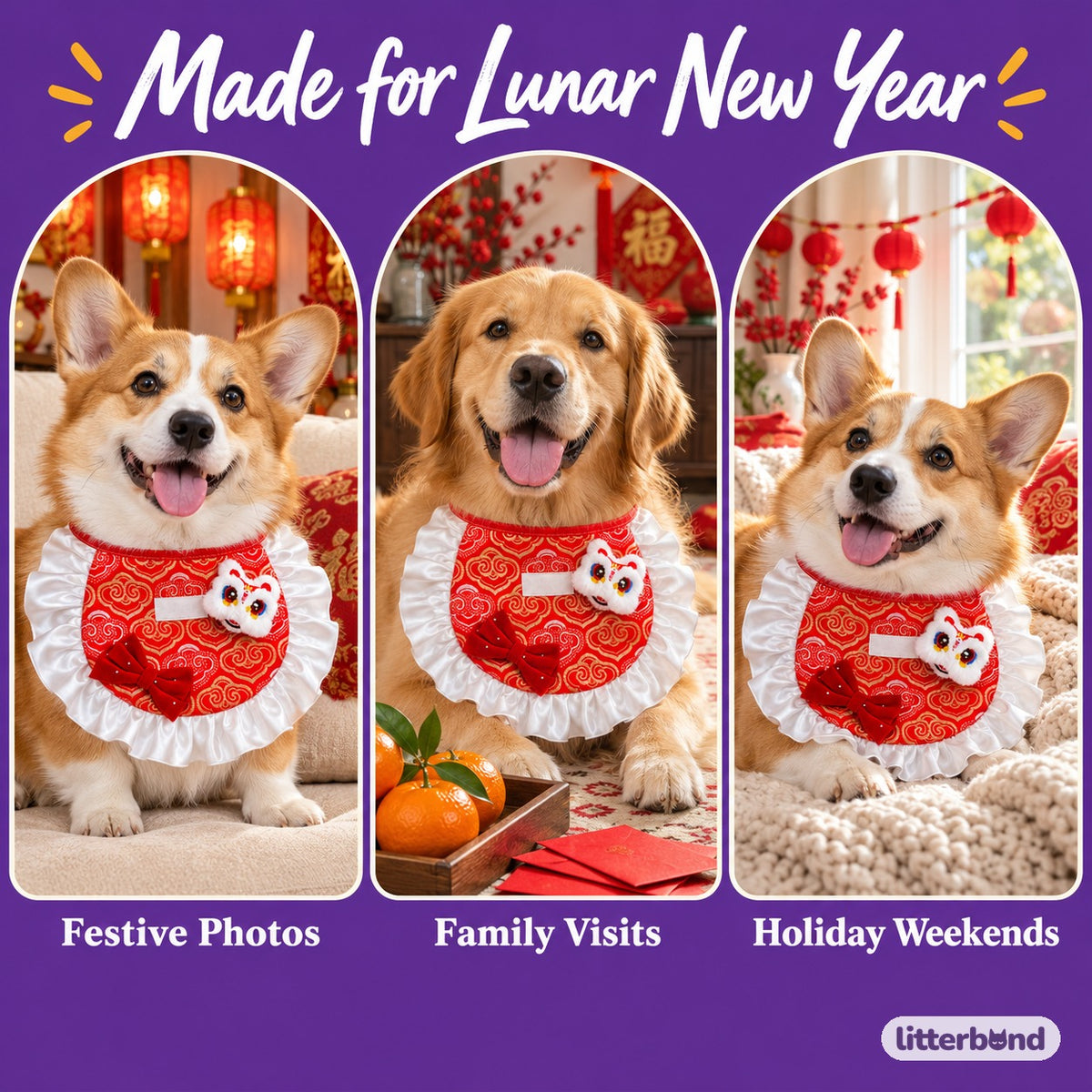 Lion Dance Ruffle Bib for Photos on a cat at home