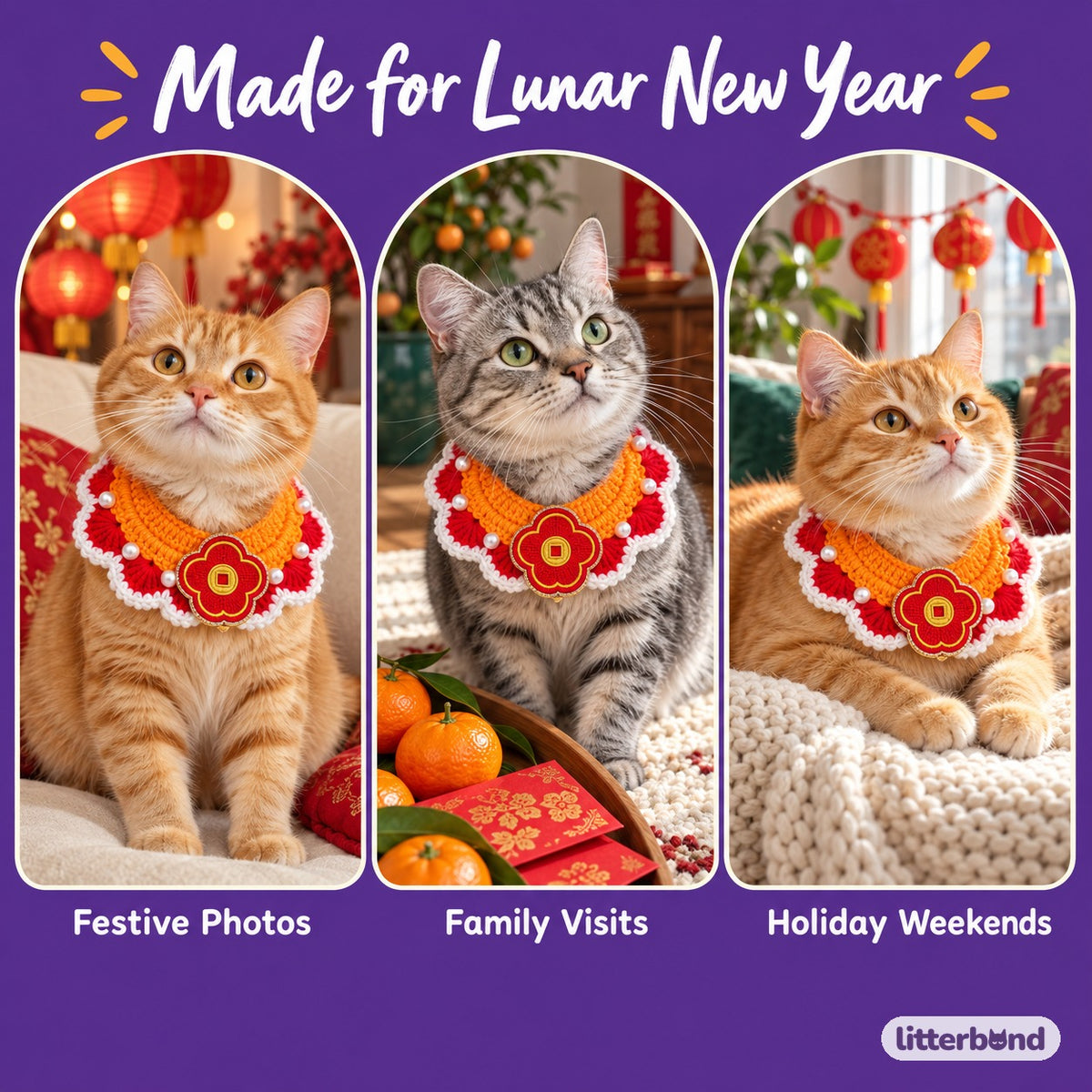Pearl-Trim Bib for New Year Photos on a cat at home