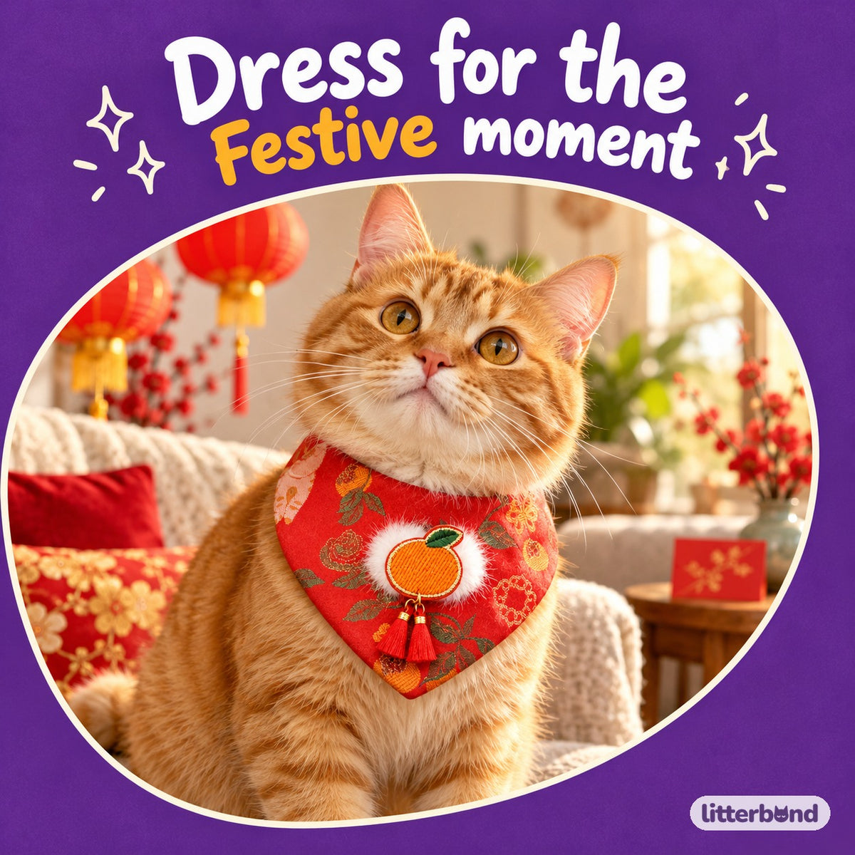 Brocade Tassel Bib for Festive Photos on a cat