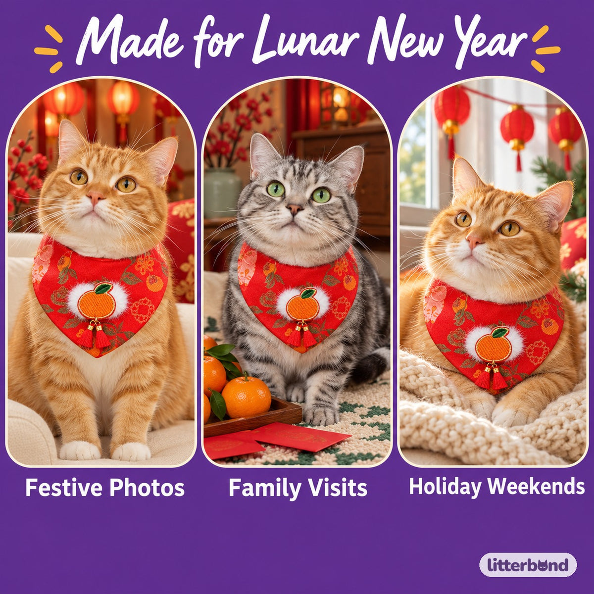 Brocade Tassel Bib for Festive Photos on a cat at home