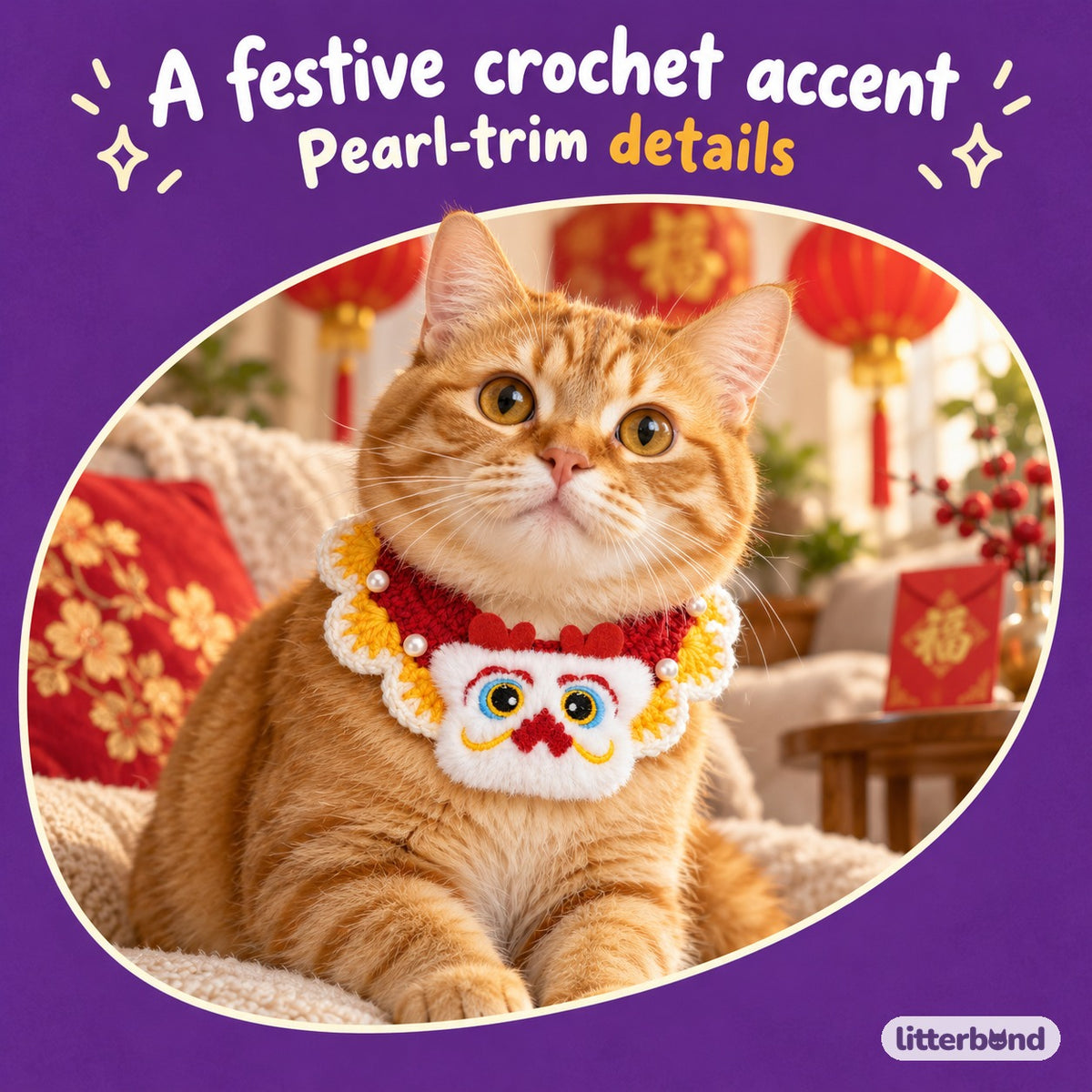 Pearl-Trim Crochet Collar for Festive Photos on a cat