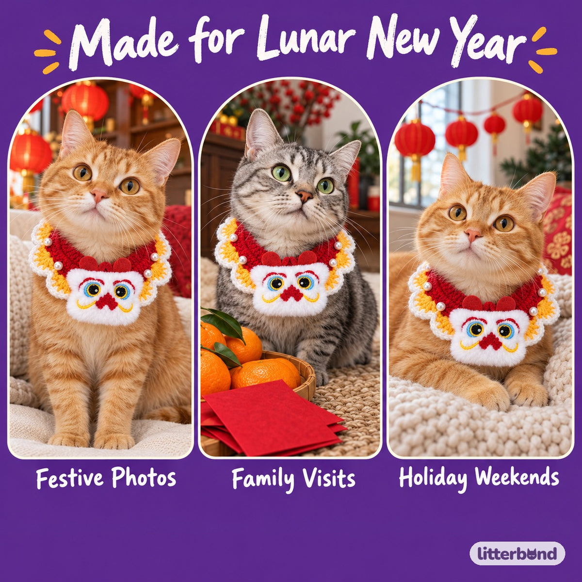 Pearl-Trim Crochet Collar for Festive Photos on a cat at home