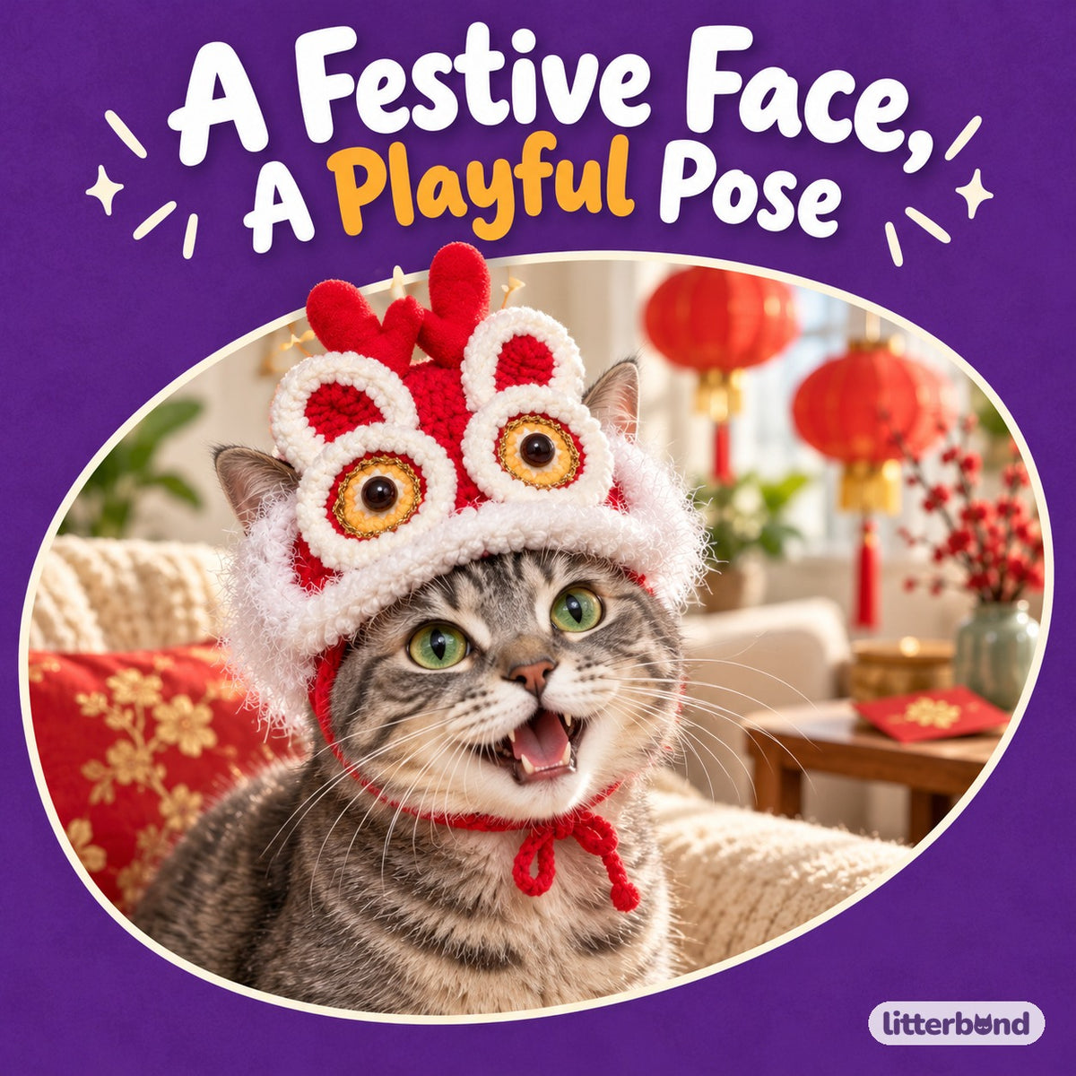 Dragon Horn Hat for Photos on a cat