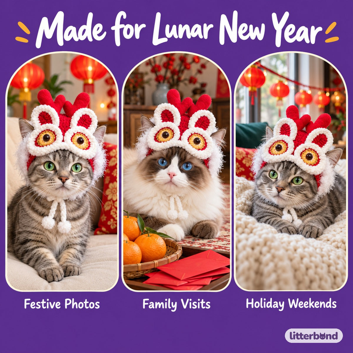 Dragon Horn Hat for Photos on a cat at home