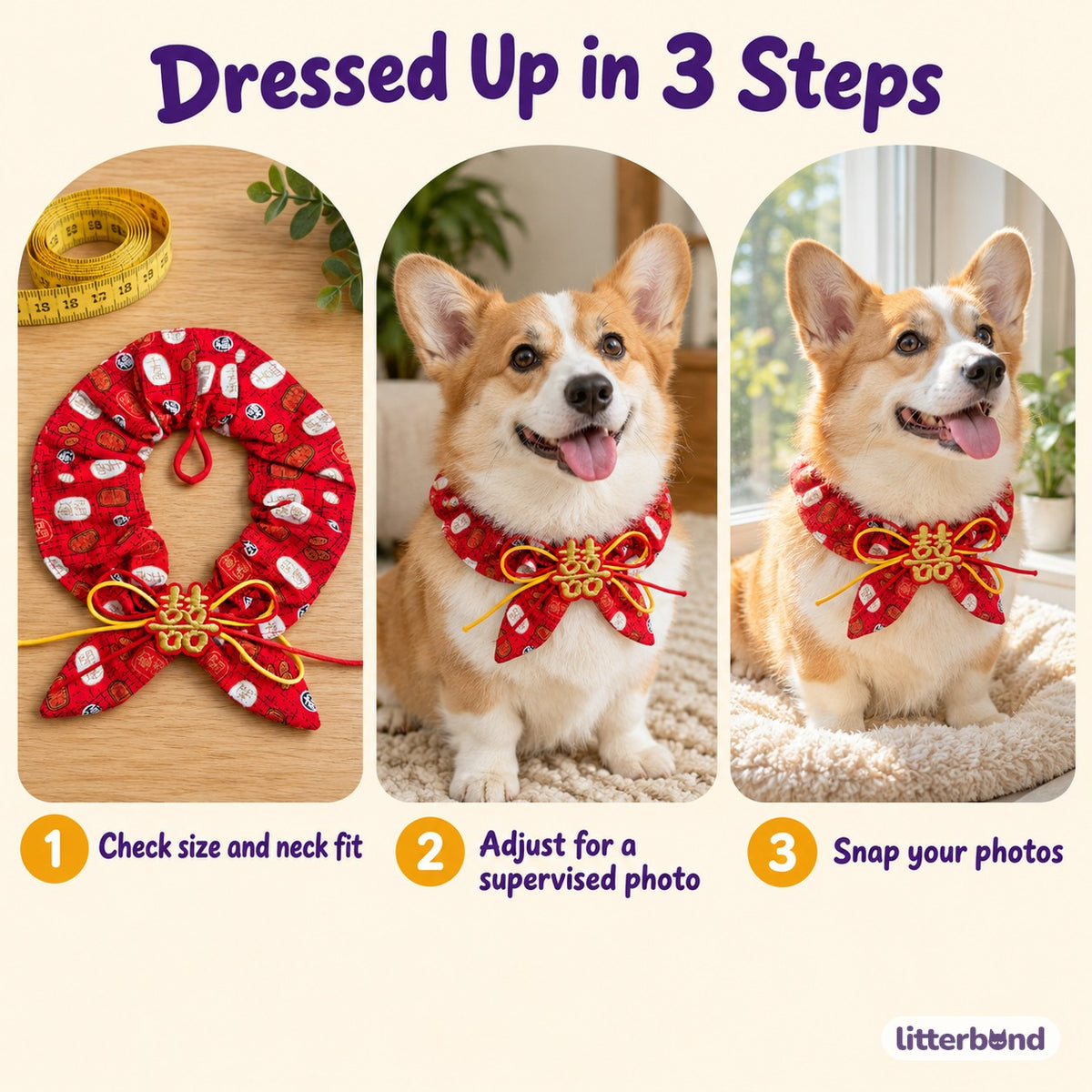 Crimson Ruffle Collar for Photos - how to put it on