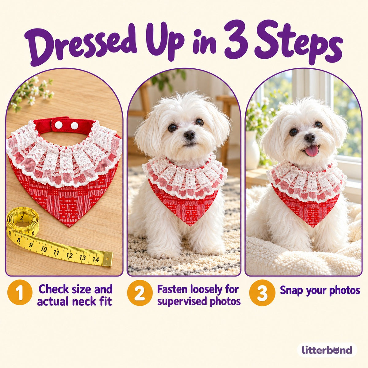 Red Collars for Wedding Photos - how to put it on