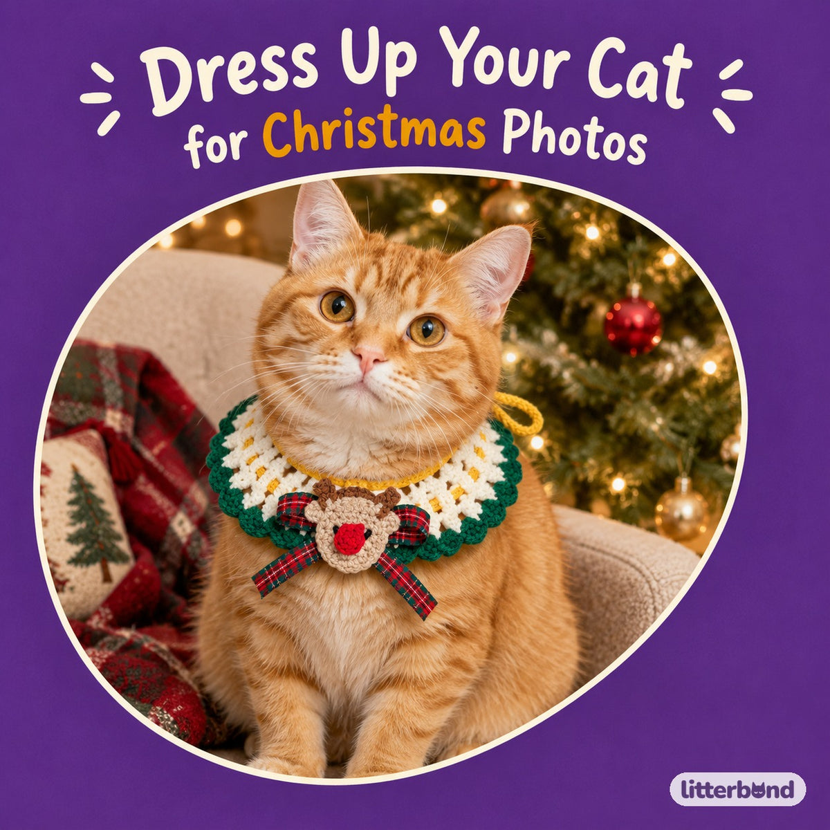 Reindeer & Snowman Crochet Collar on a cat