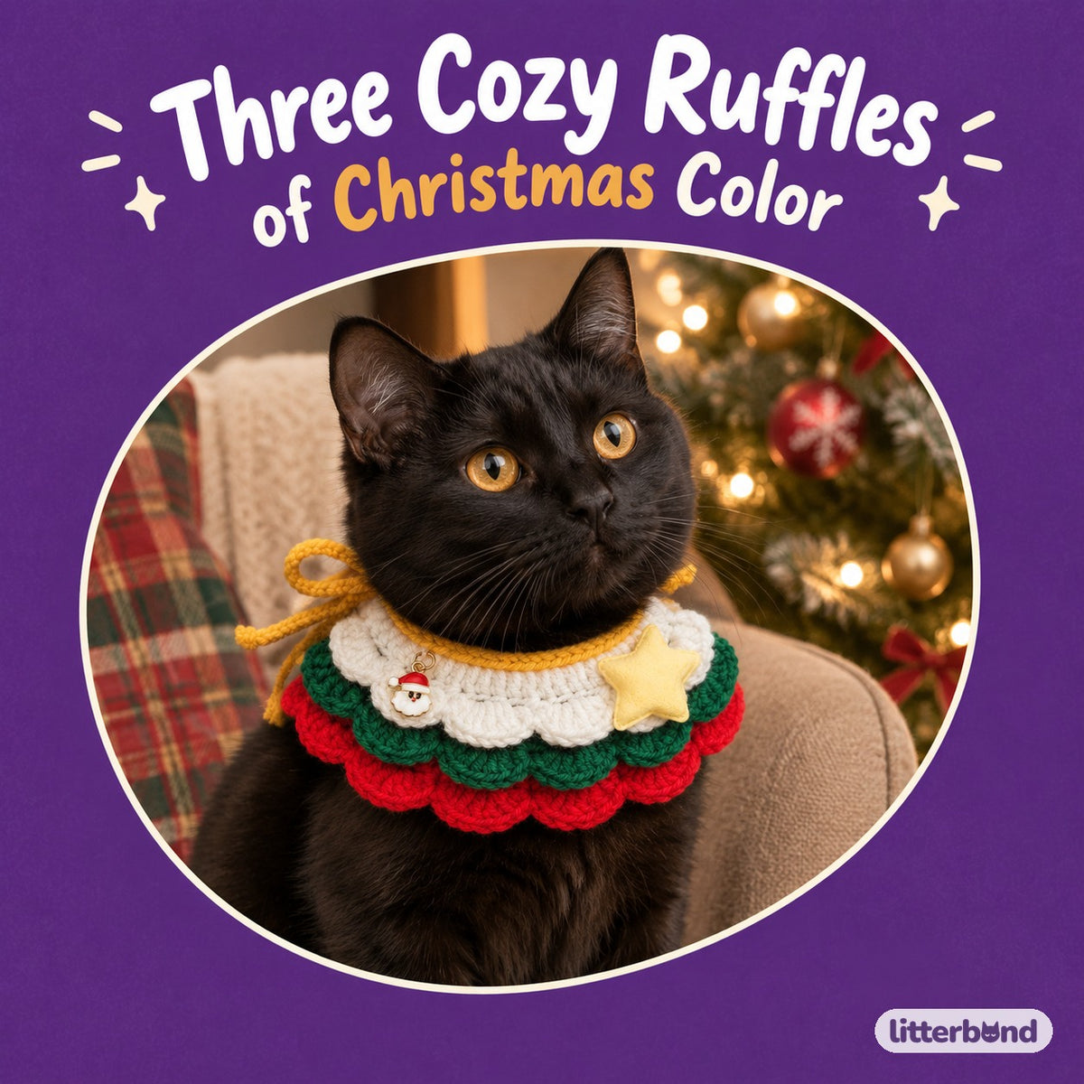 Three-Tier Ruffle Star Collar on a cat