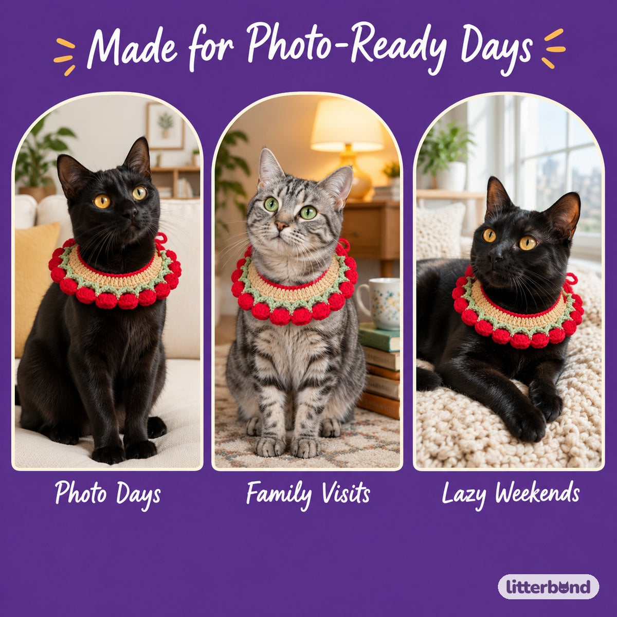 Red Tulip Crochet Collar on a cat at home