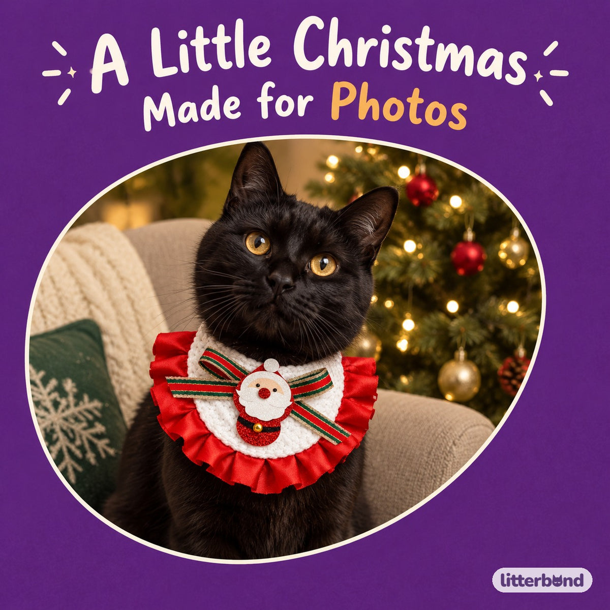 Glitter Patch Satin Ruffle Bib on a cat