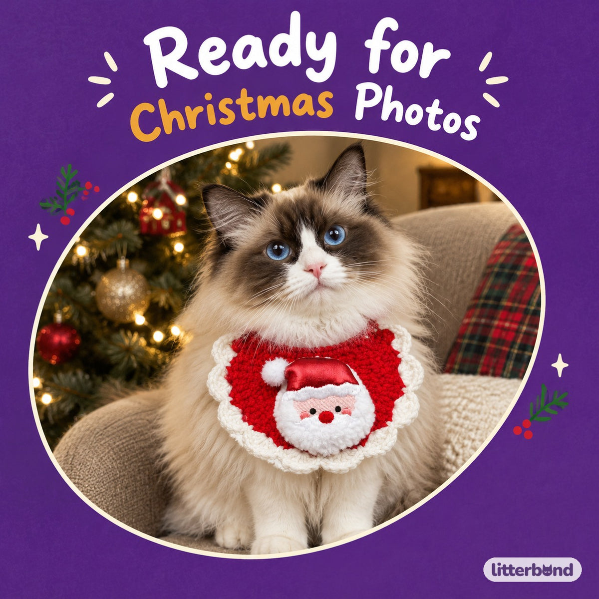 Red Crochet Plush Patch Bib on a cat