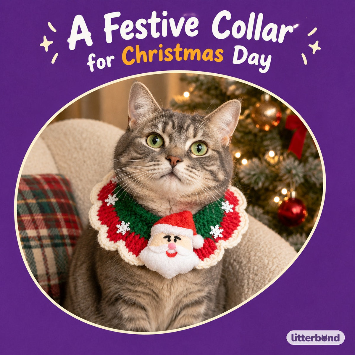 Santa & Pom-Pom Crochet Collar on a cat