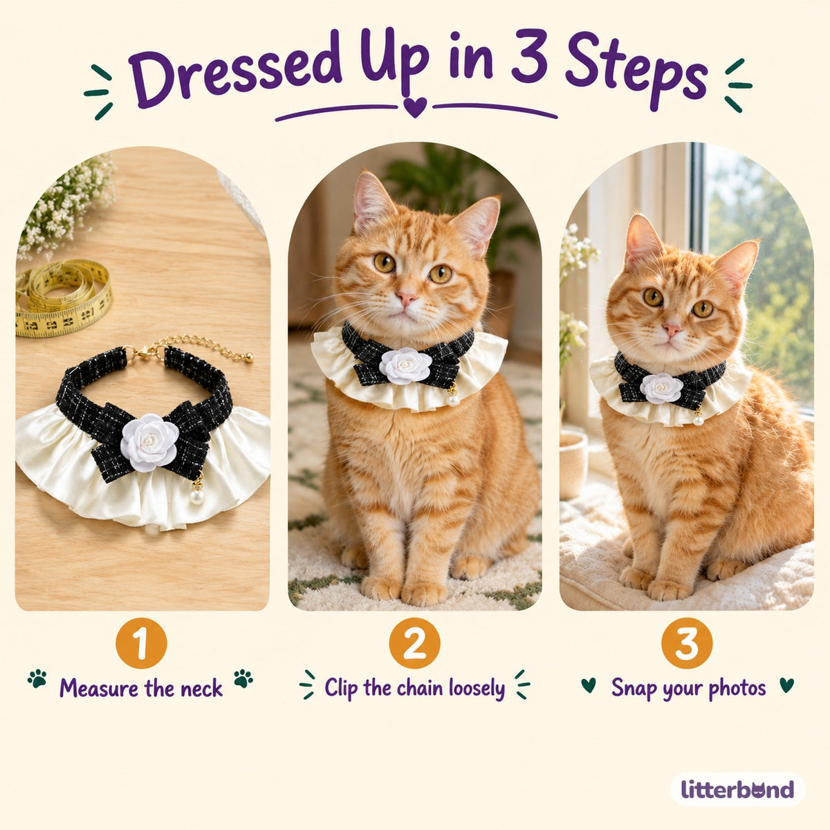 Camellia Tweed Bow Collar - how to put it on