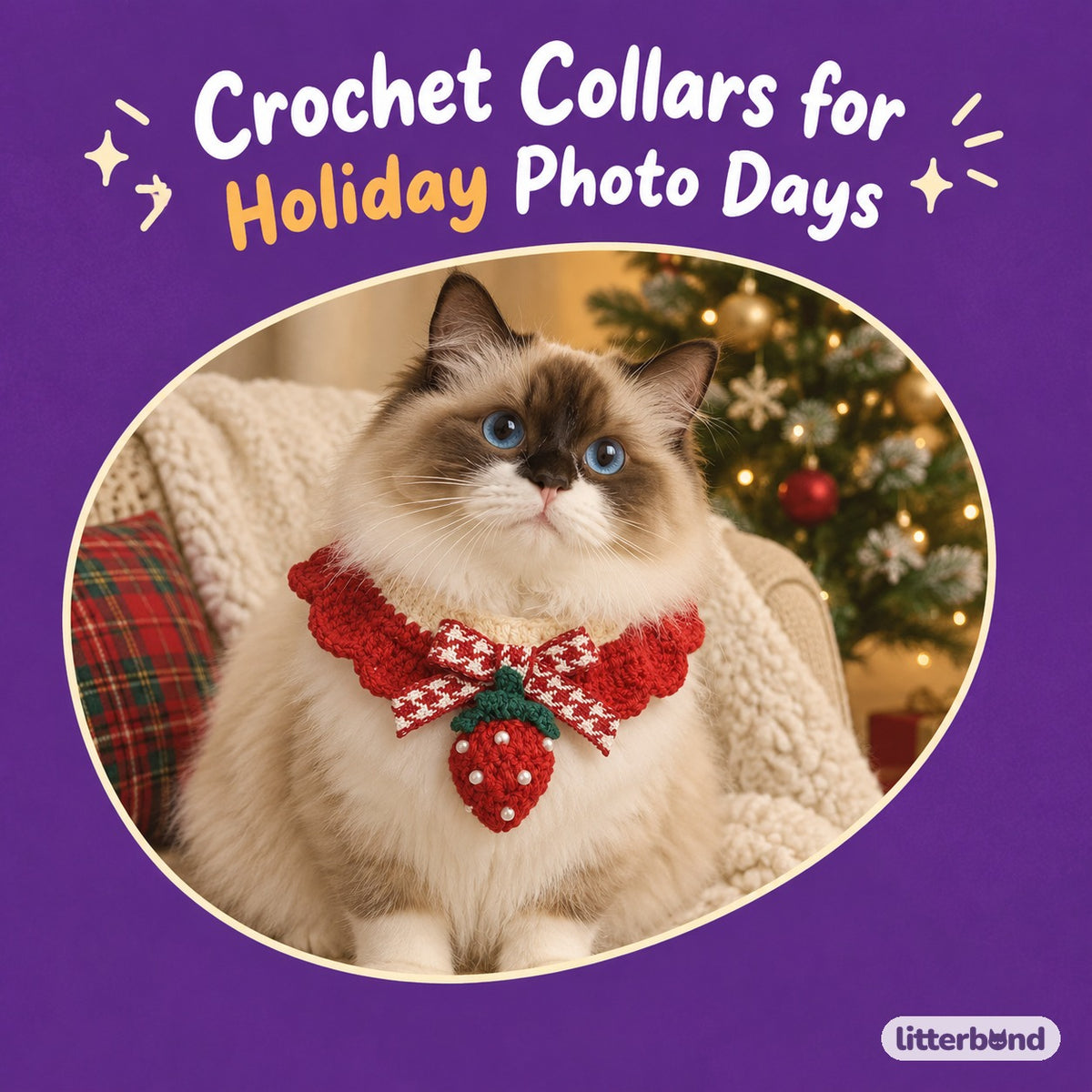 Strawberry & Berry Crochet Collar on a cat