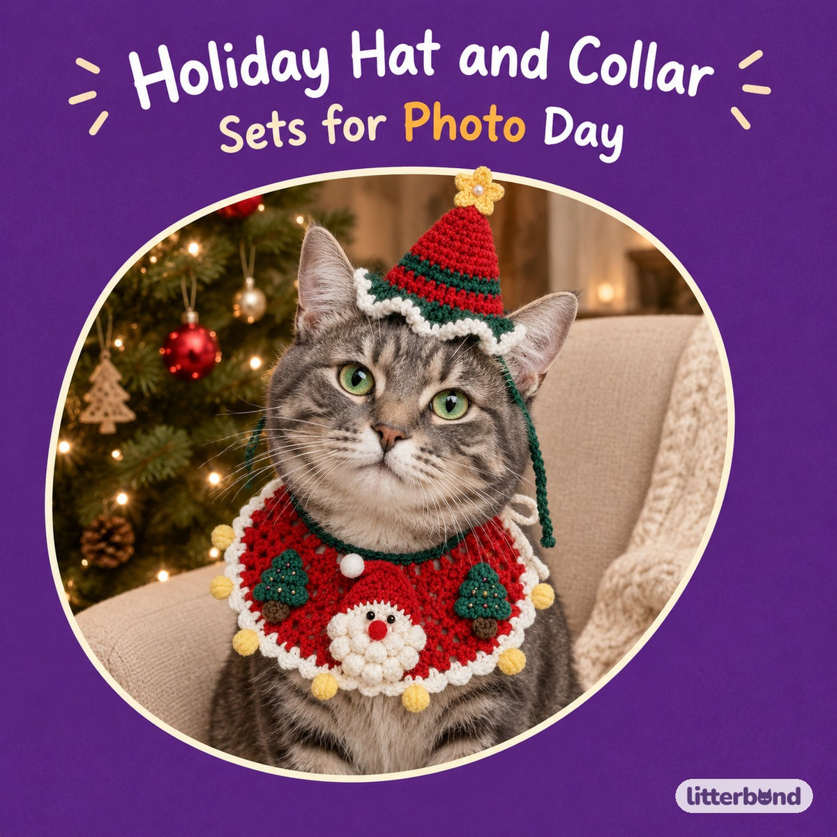 Elf & Tree Hat & Collar Set on a cat