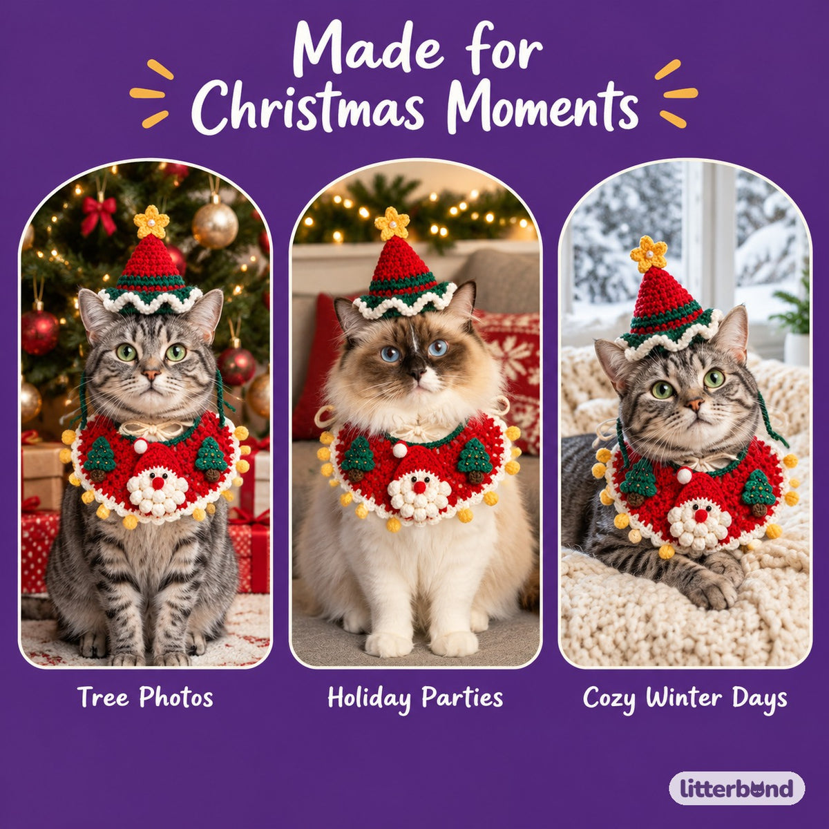 Elf & Tree Hat & Collar Set on a cat at home