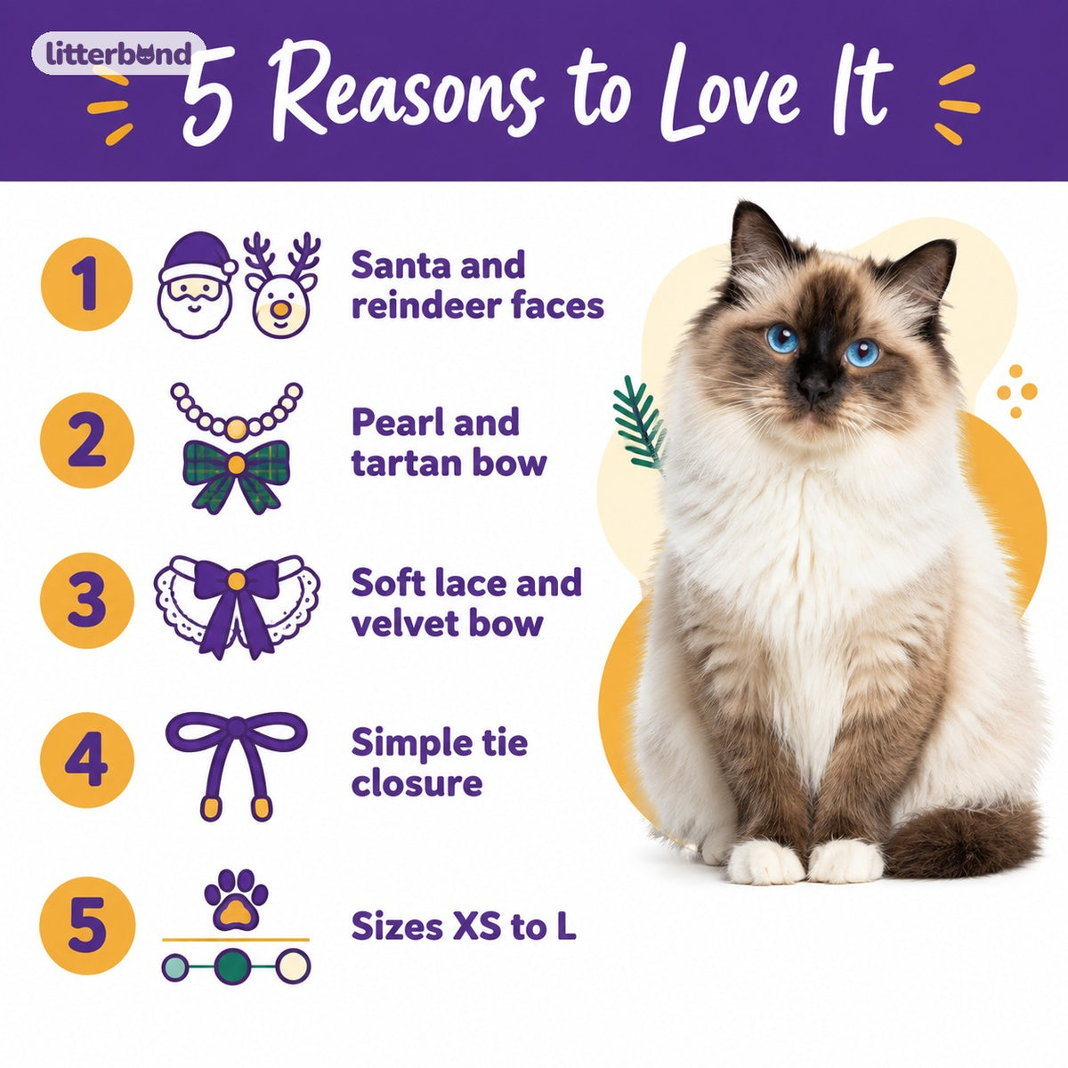 Santa, Reindeer & Lace Collar - 5 reasons to love it