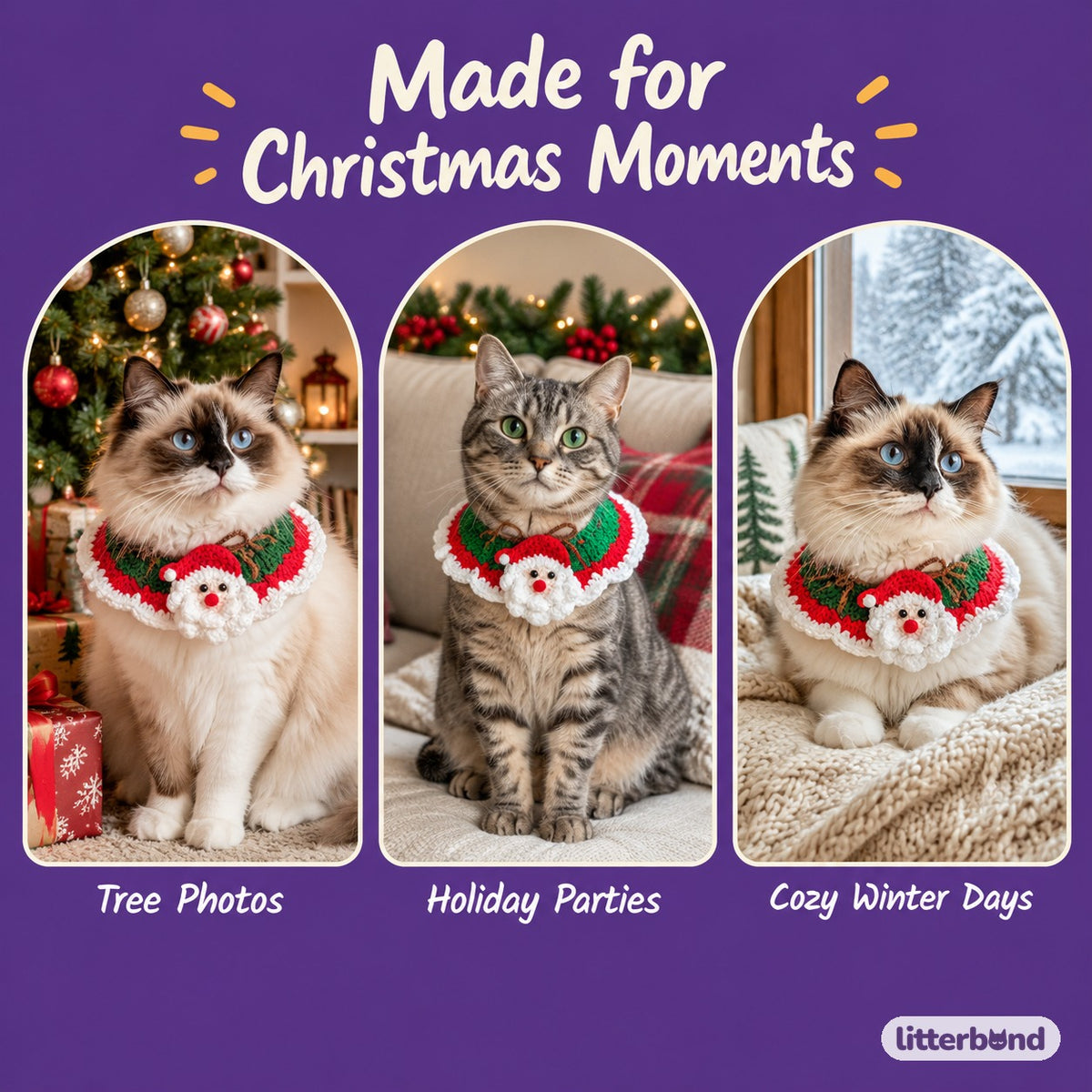 Santa, Reindeer & Lace Collar on a cat at home