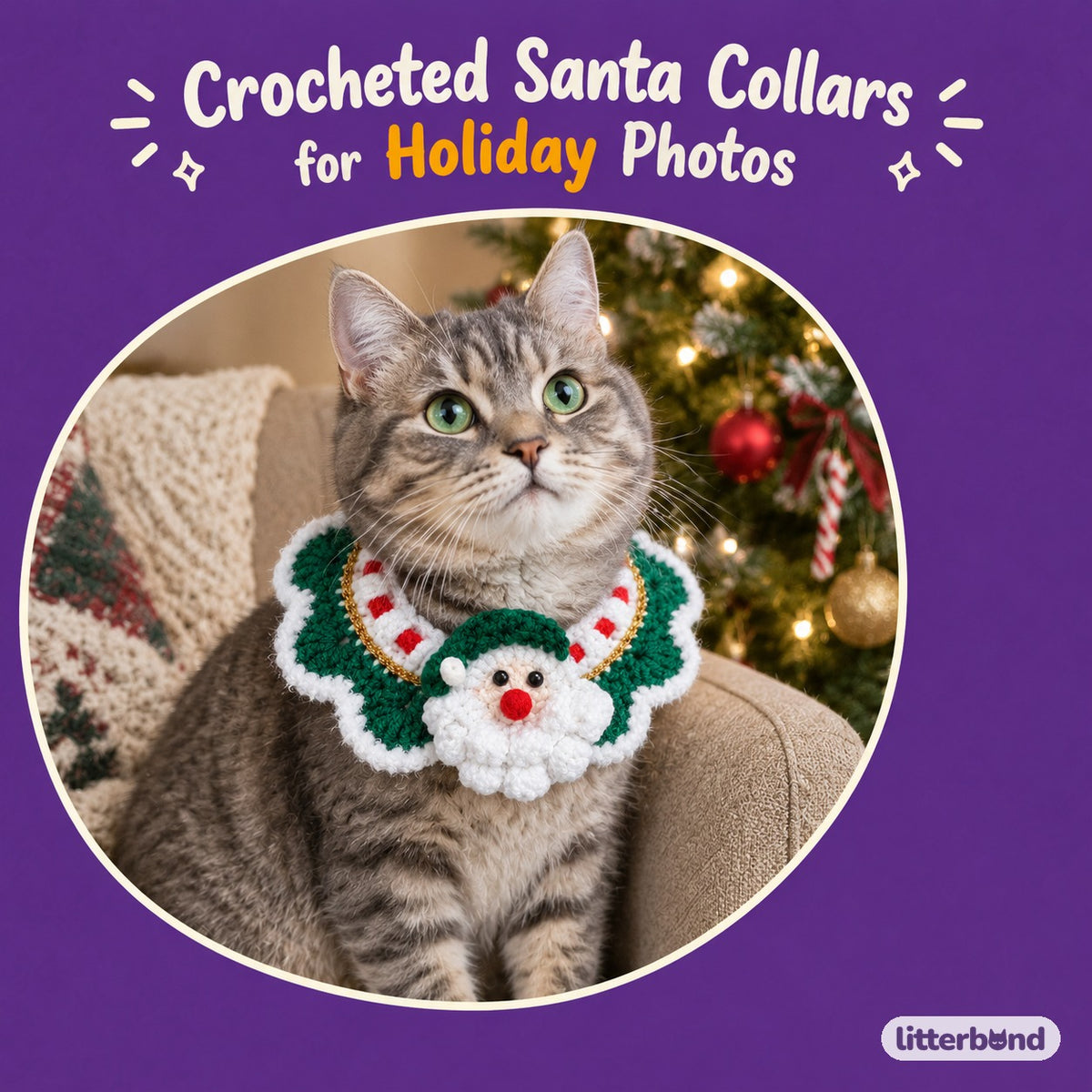 Gold-Thread Santa Wreath Collar on a cat