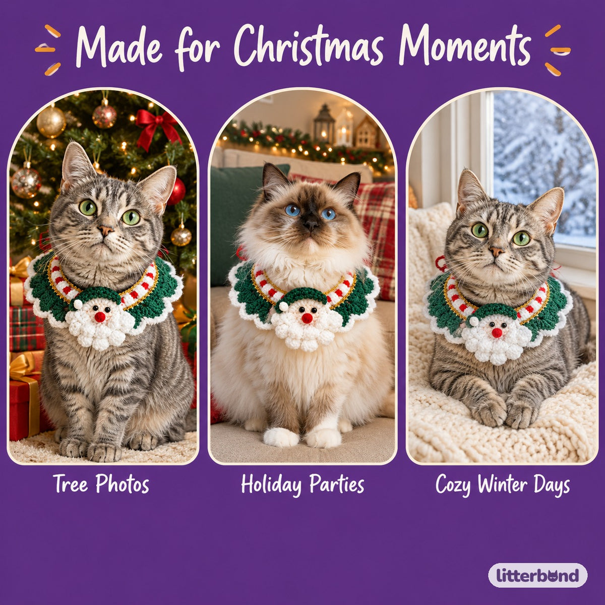 Gold-Thread Santa Wreath Collar on a cat at home