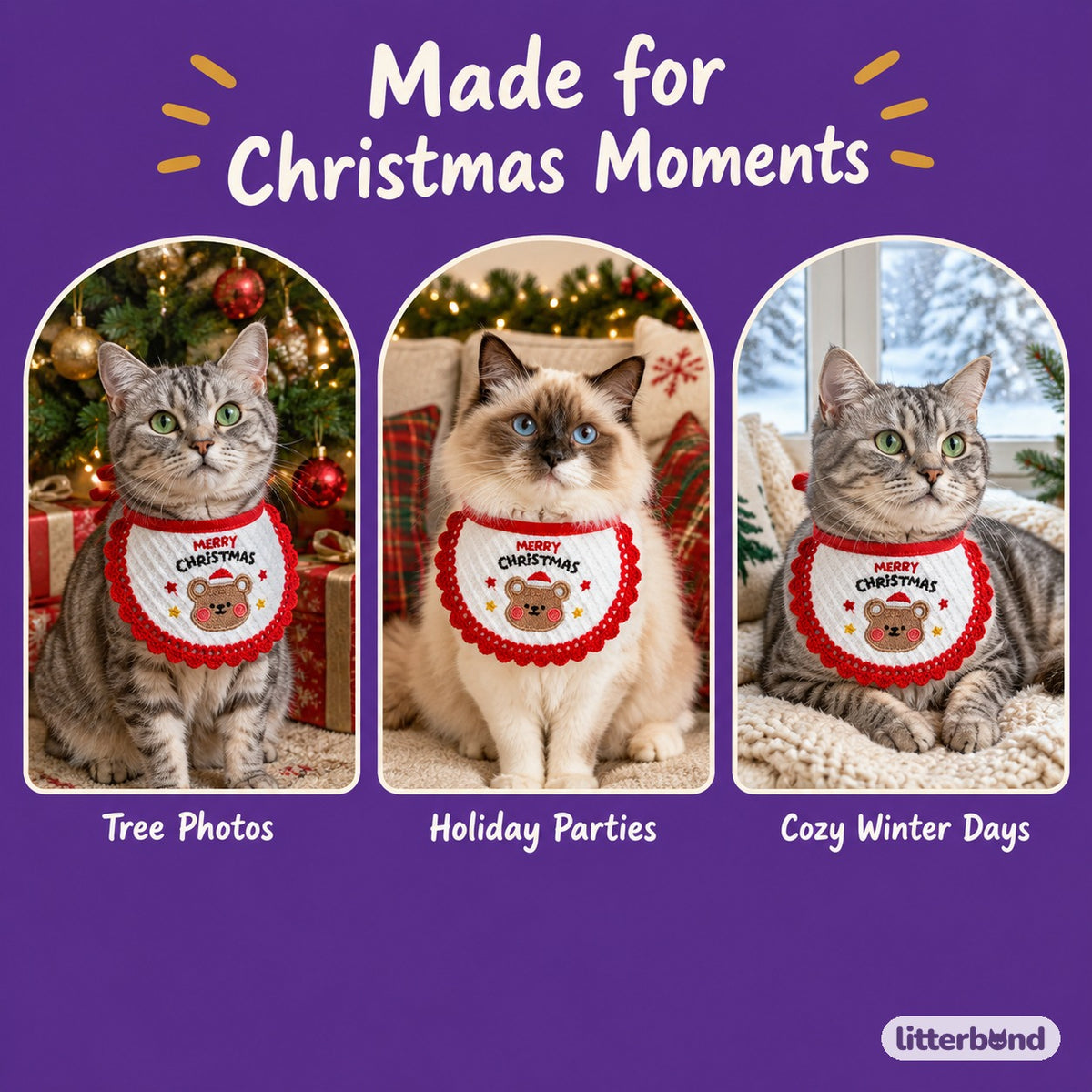 Merry Christmas Bear Bib on a cat at home