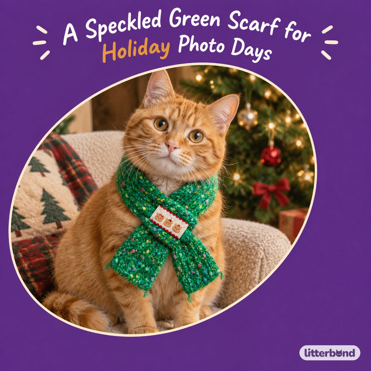 Speckled Green Loop Scarf on a cat