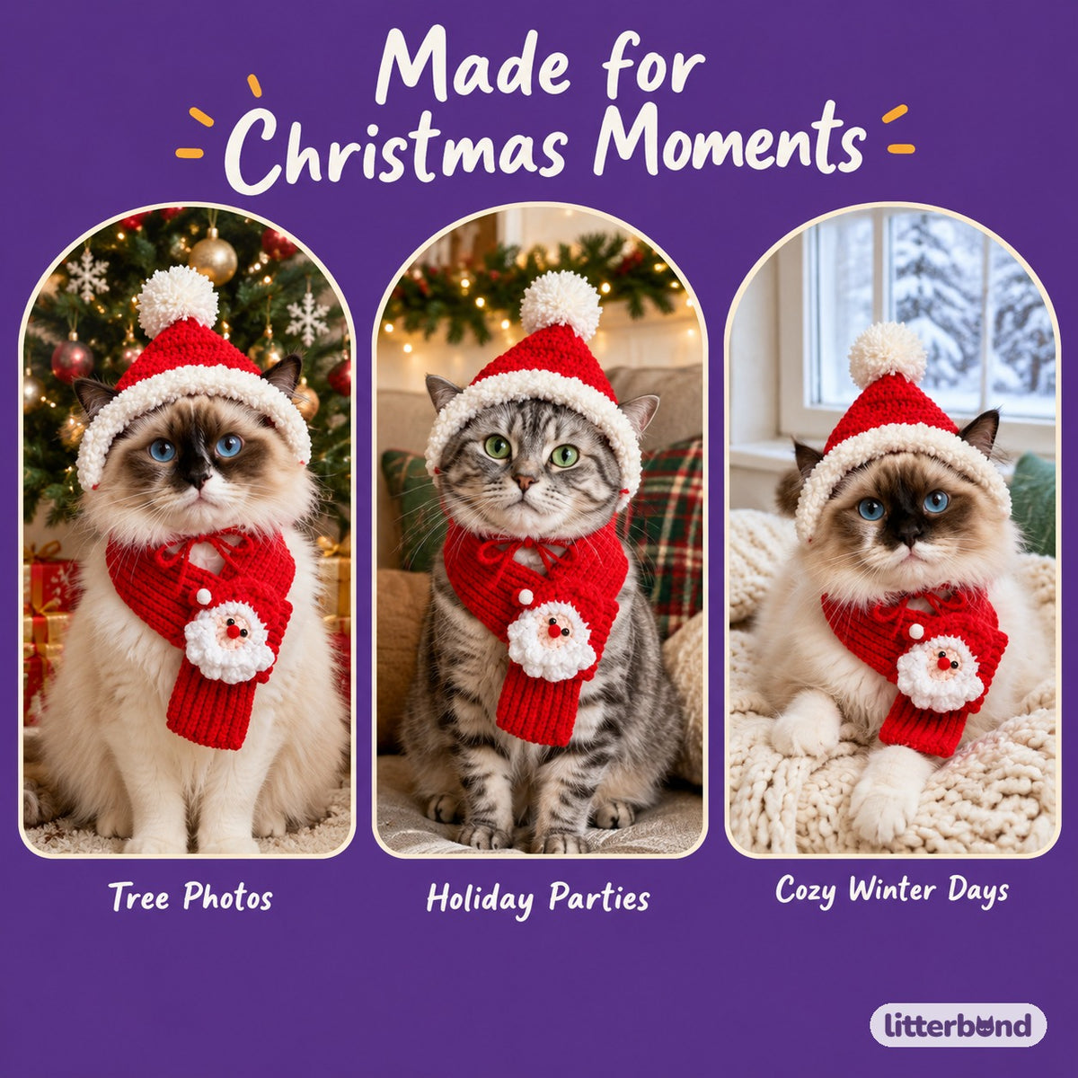 Santa Face Scarf & Bonnet Set on a cat at home