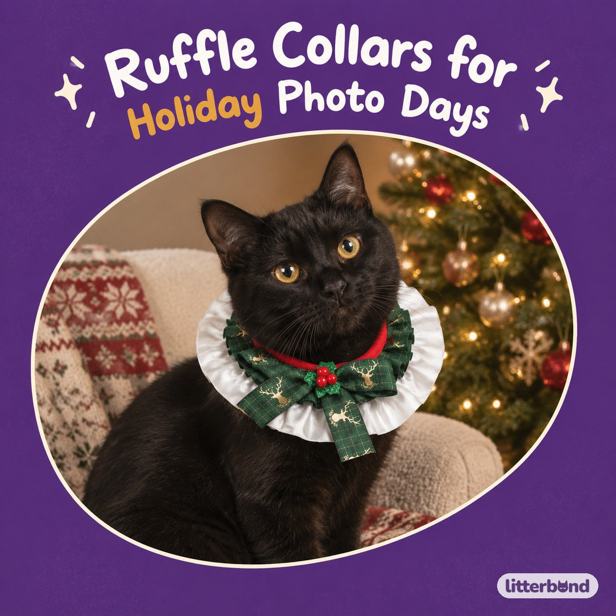 Satin Frill Ribbon Bow Collar on a cat