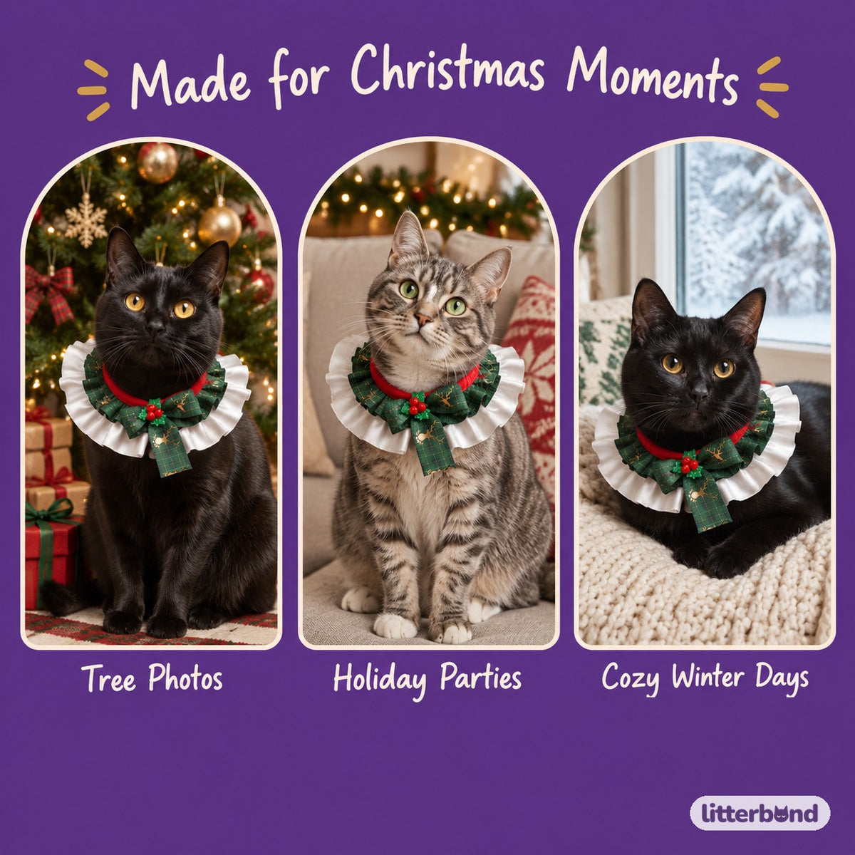 Satin Frill Ribbon Bow Collar on a cat at home