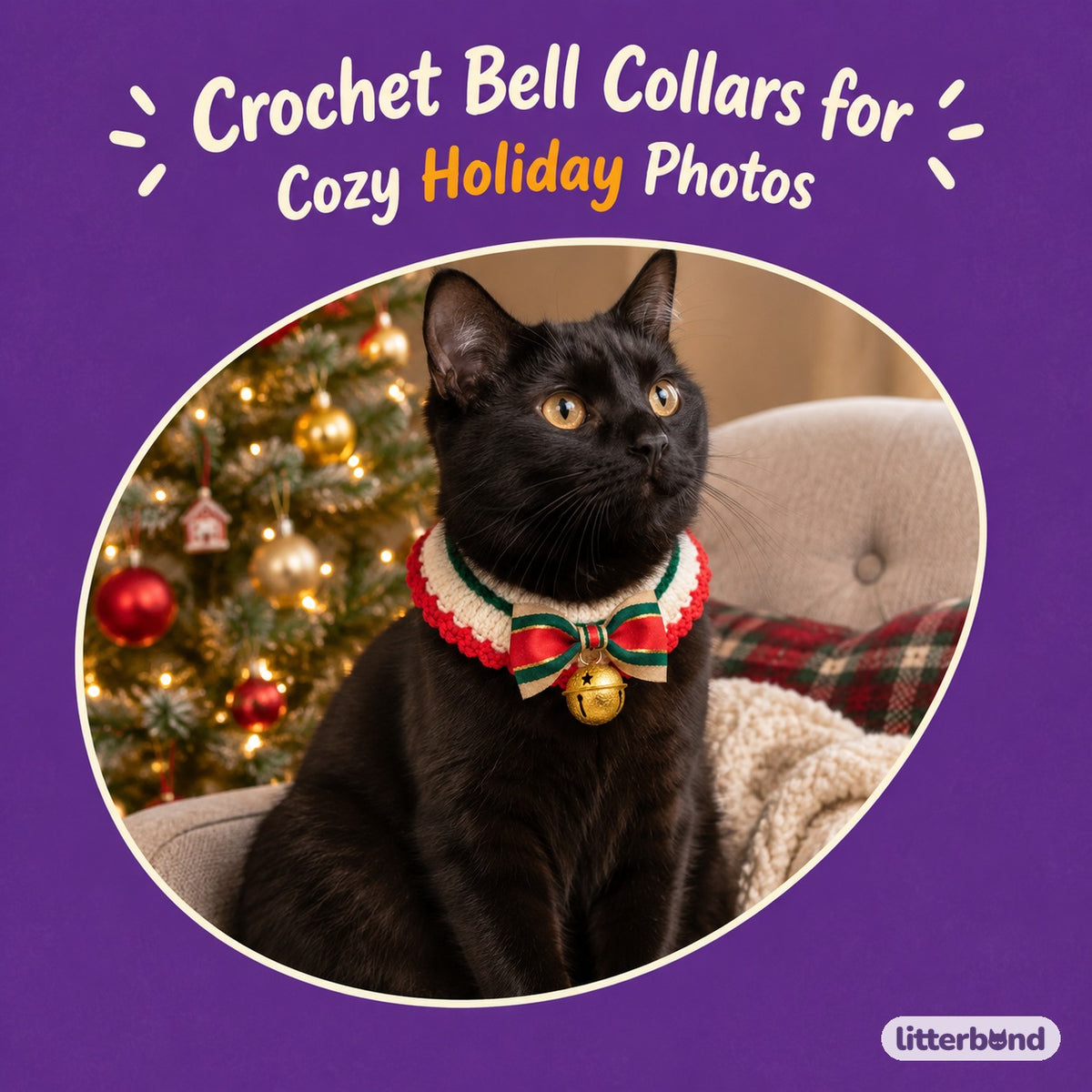 Gold Jingle Bell Ribbon Collar on a cat
