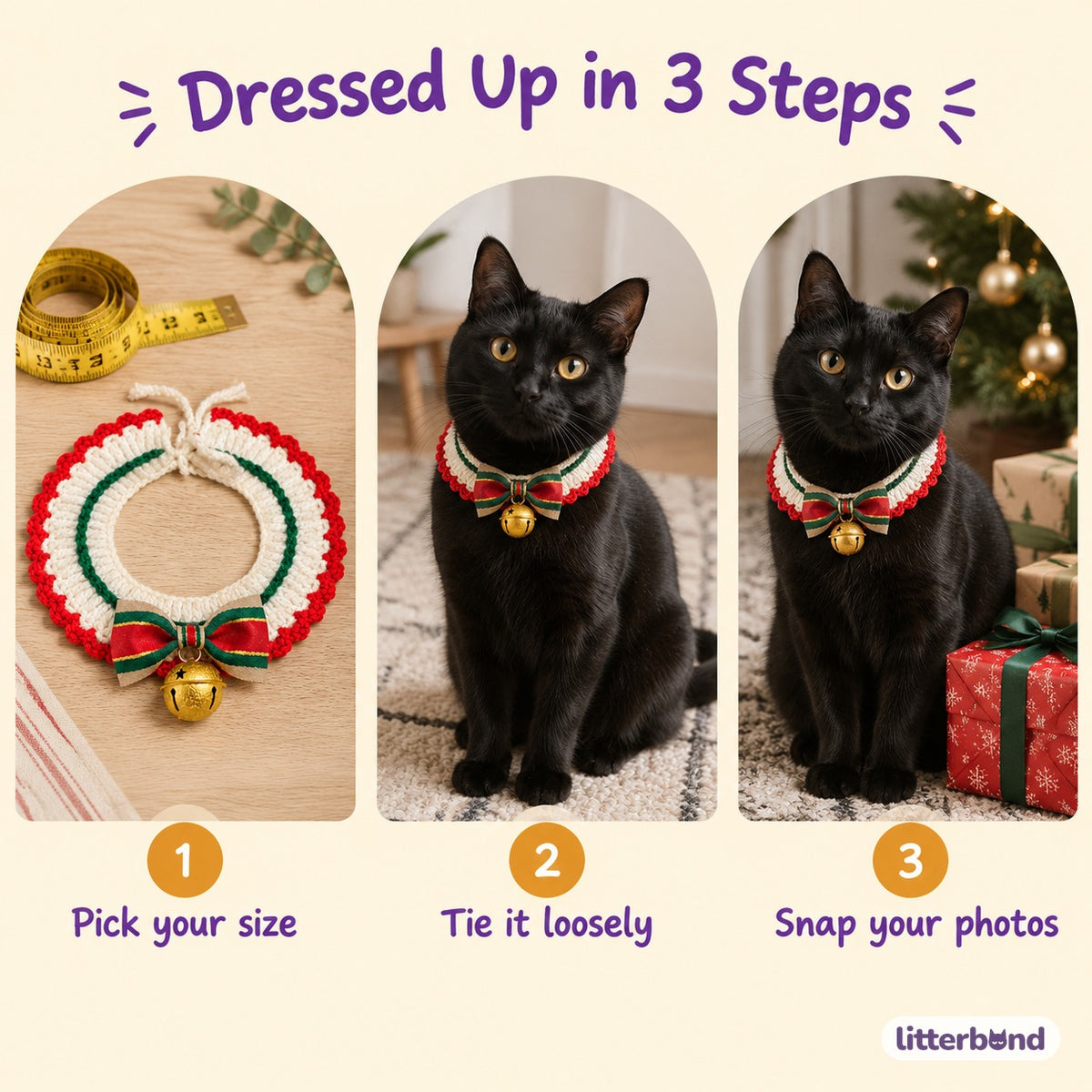 Gold Jingle Bell Ribbon Collar - how to put it on