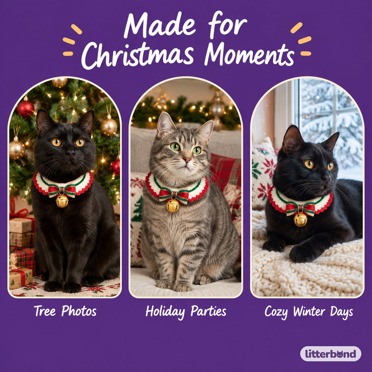Gold Jingle Bell Ribbon Collar on a cat at home