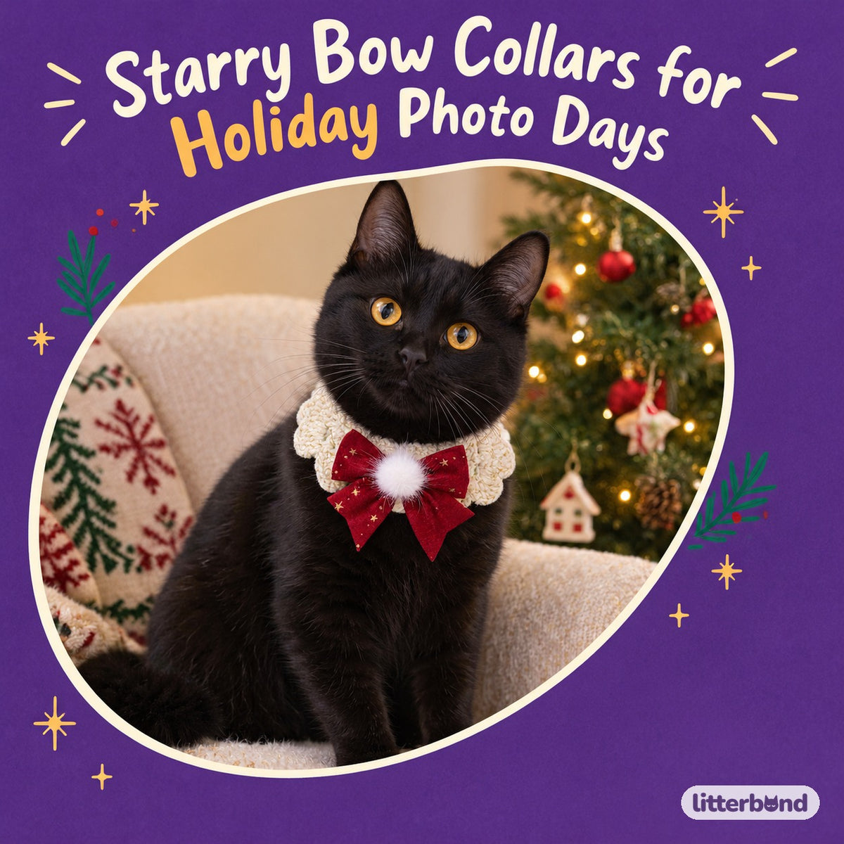 Star-Print Bow Button Collar on a cat