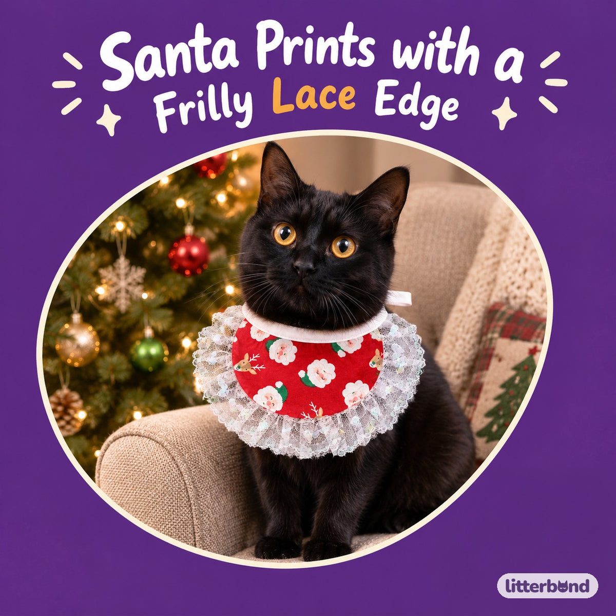 Santa & Candy Cane Lace Bib on a cat
