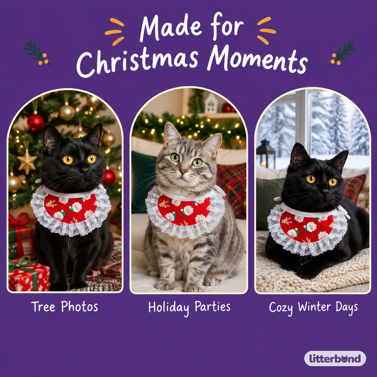 Santa & Candy Cane Lace Bib on a cat at home