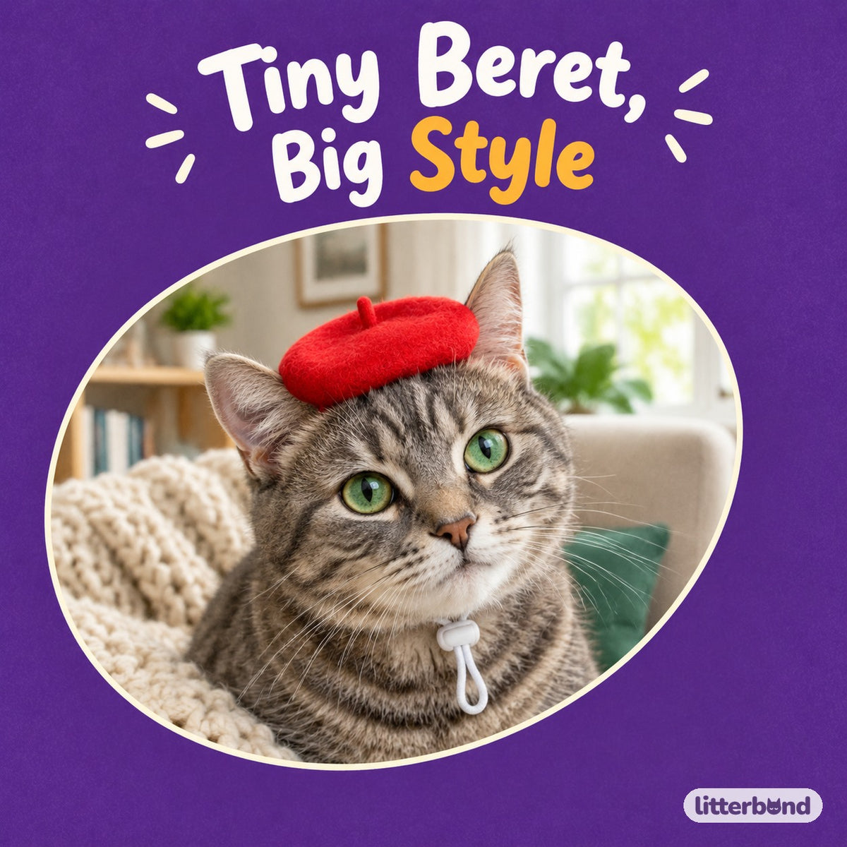 Brushed Wool Beret on a cat