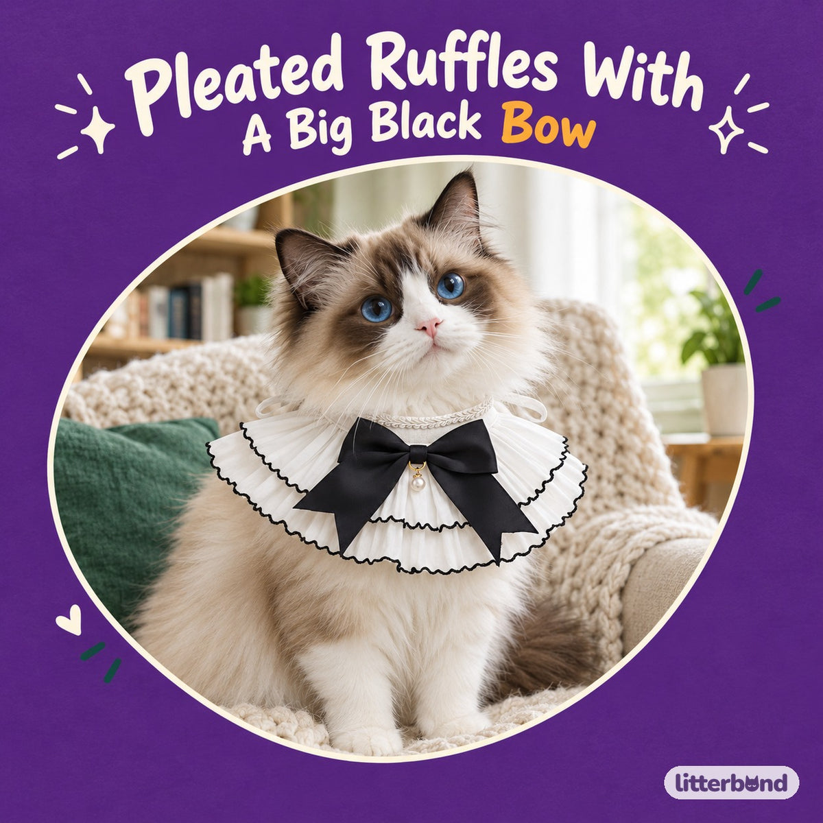 Black Bow Pleated Chiffon Collar on a cat
