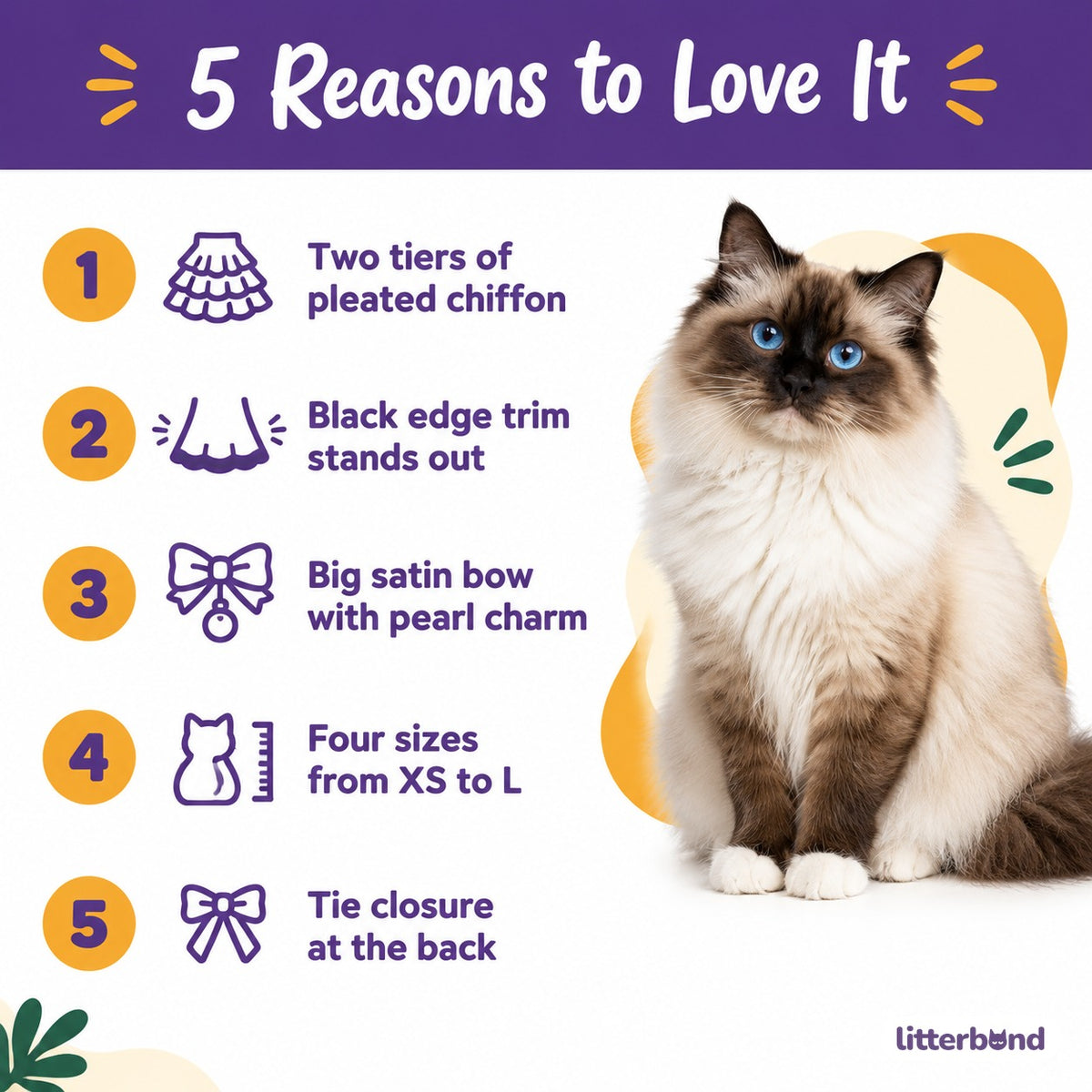 Black Bow Pleated Chiffon Collar - 5 reasons to love it